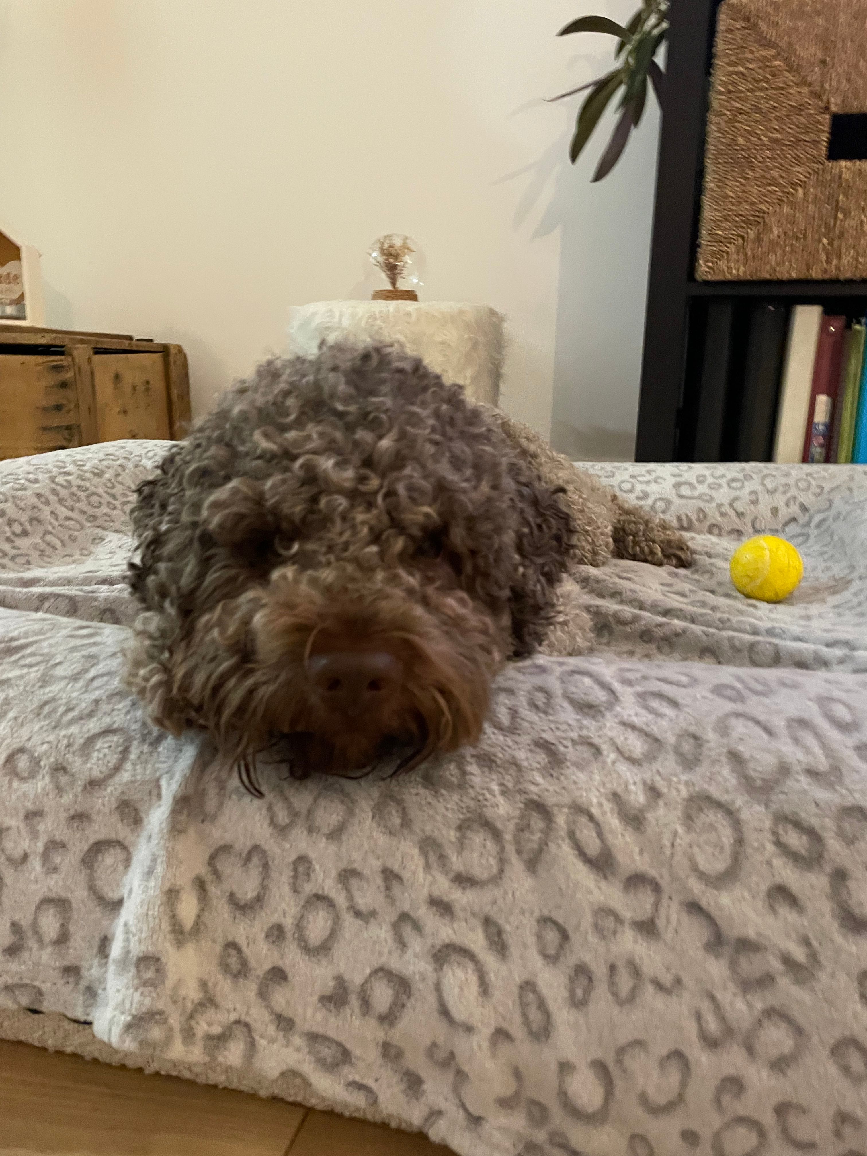 image-13