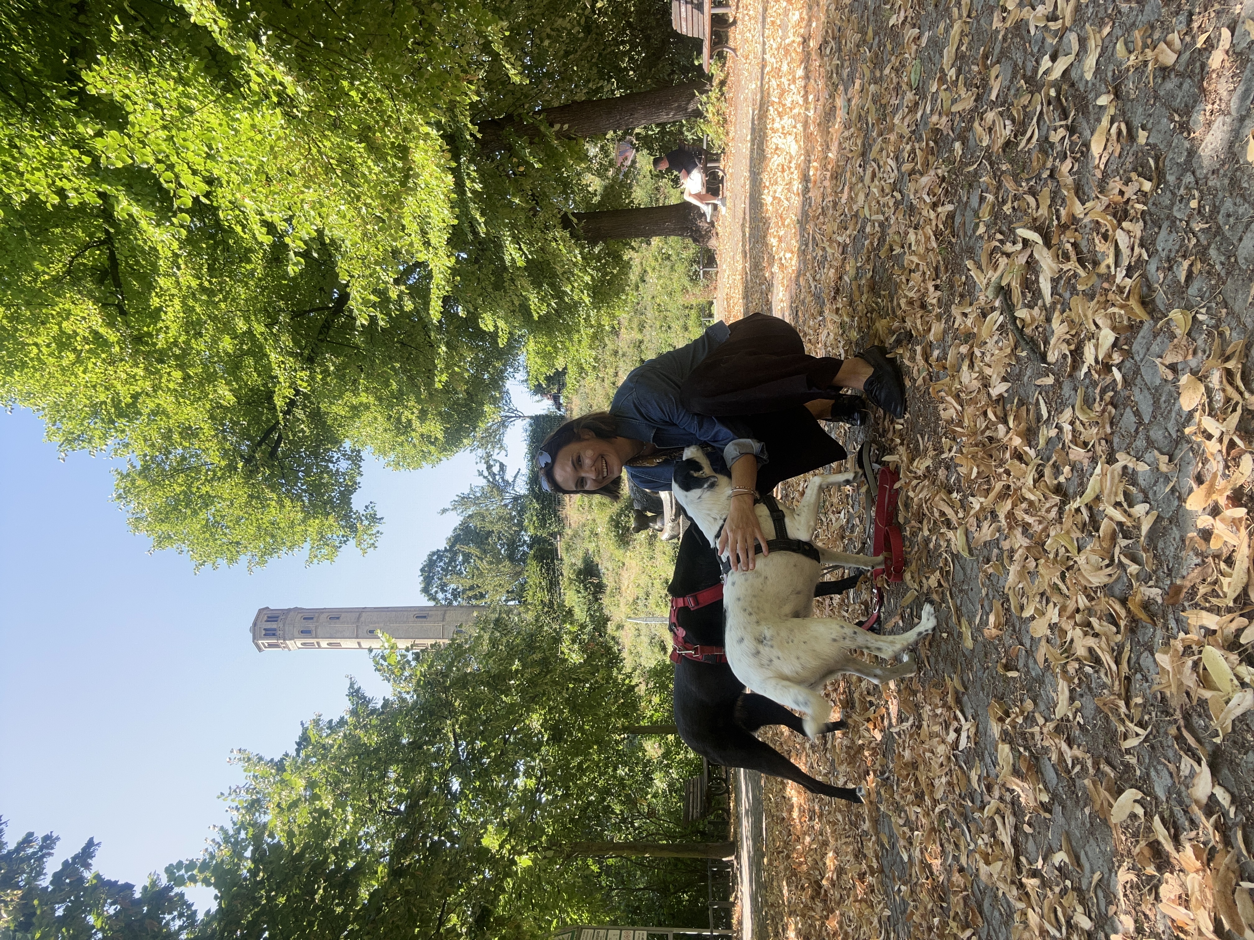 image-33