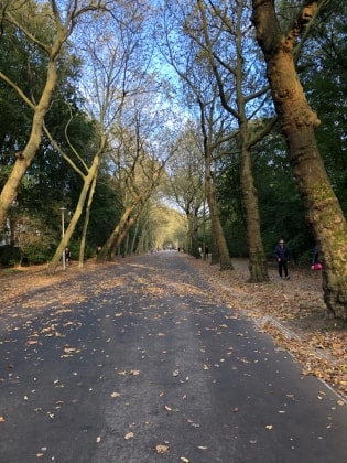 image-8