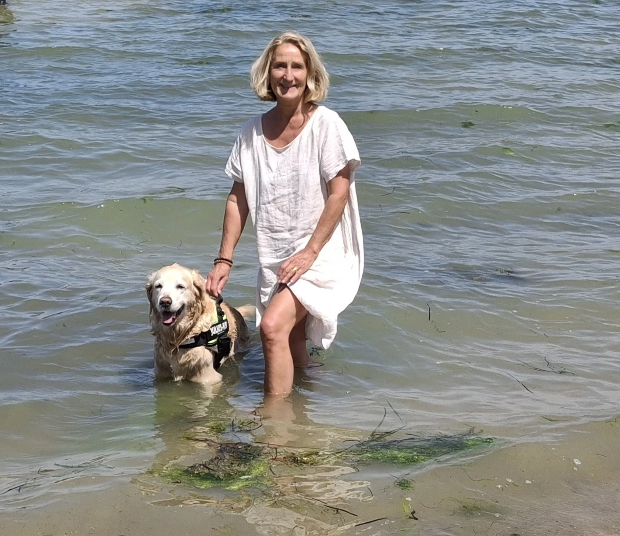 image-2