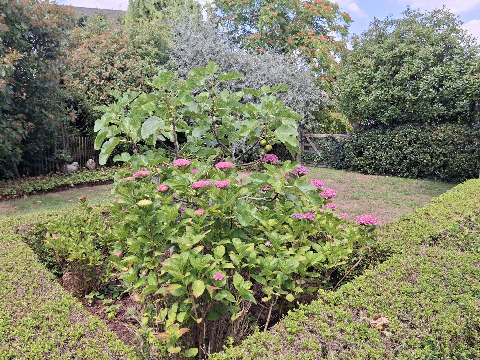 image-14