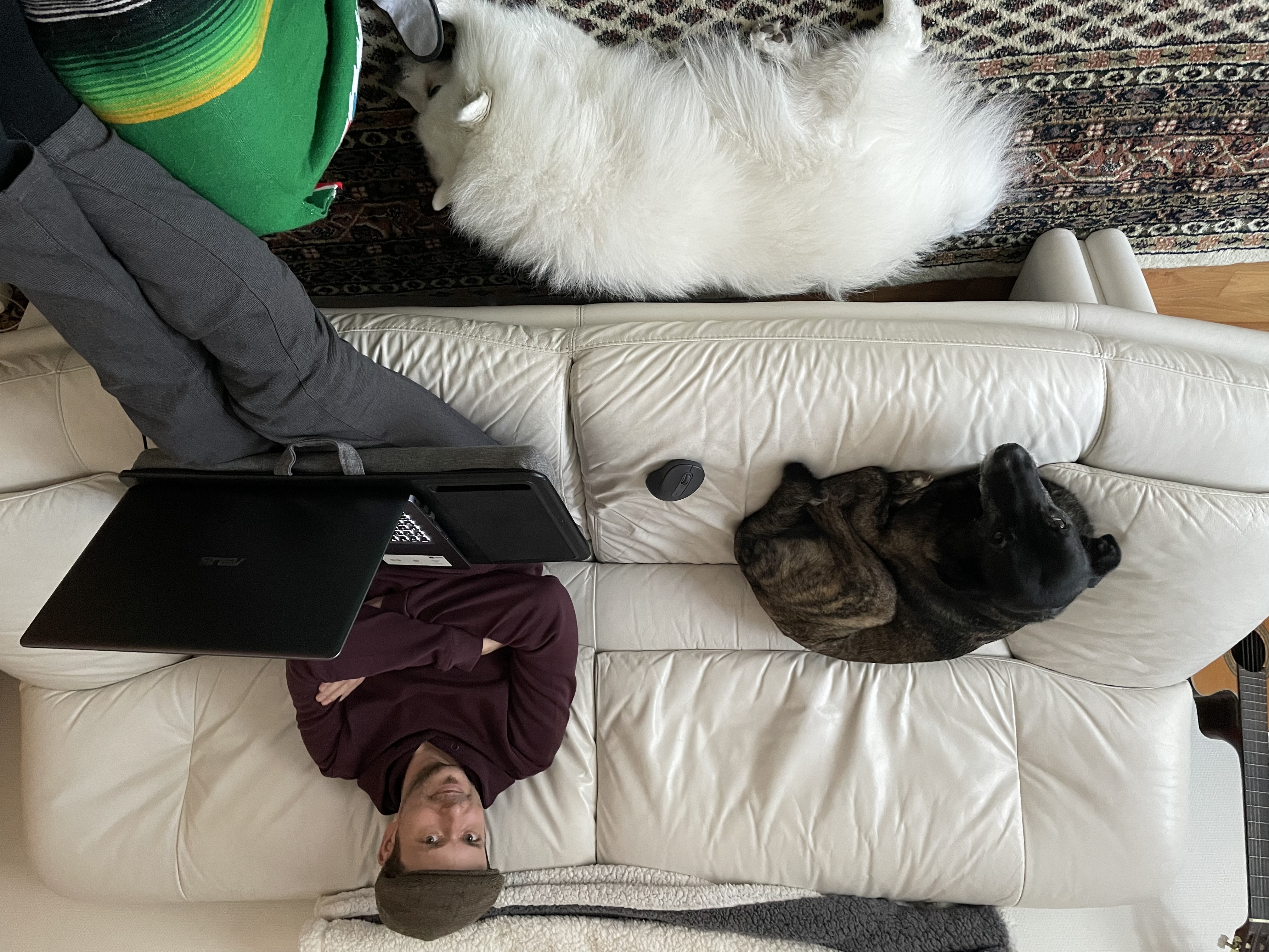 image-12