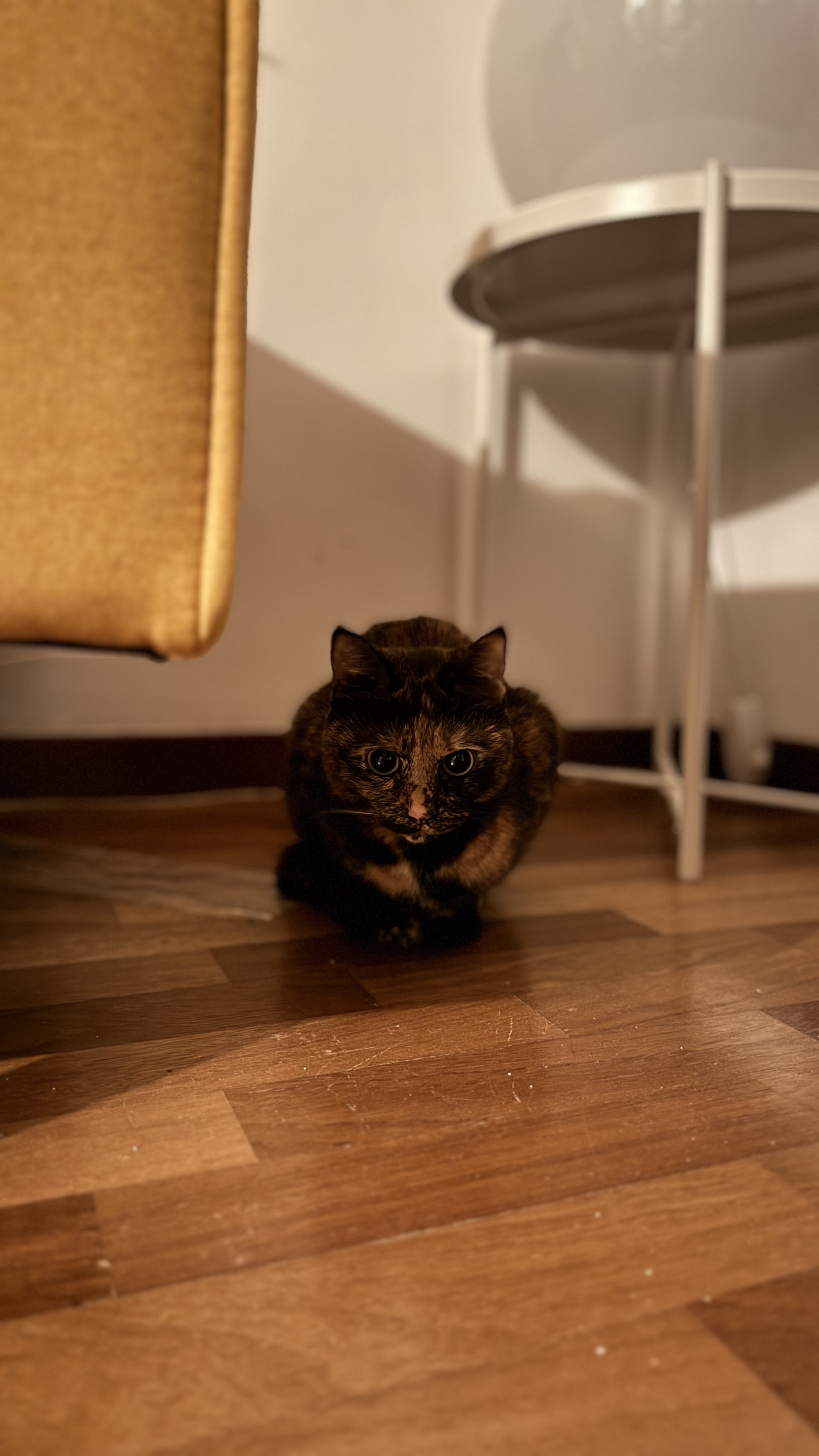 image-11