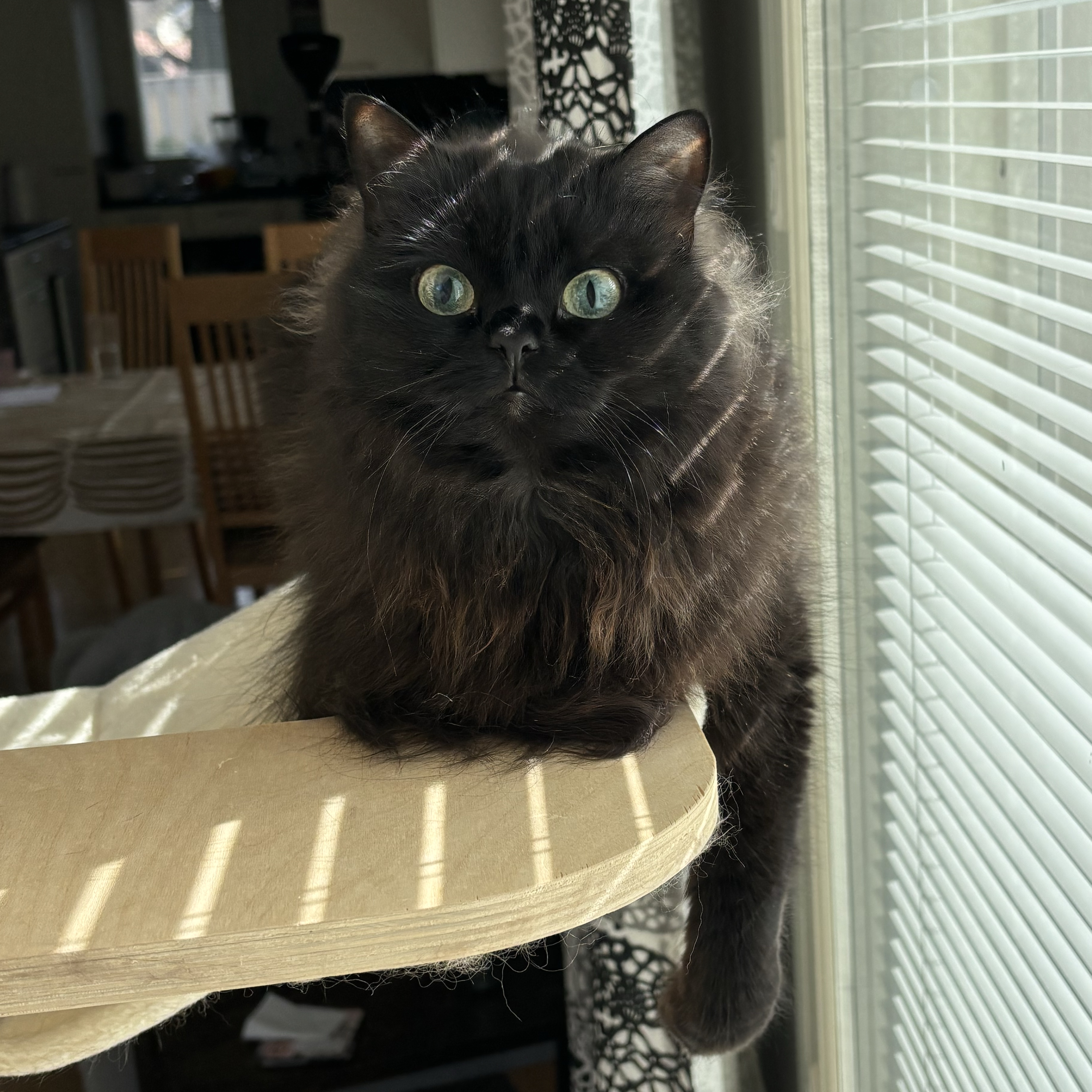 Minni