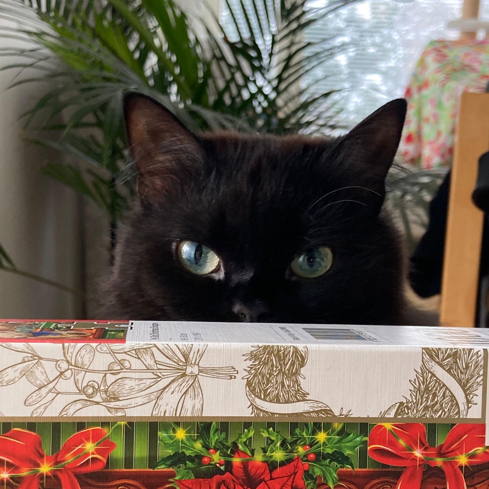 Minni