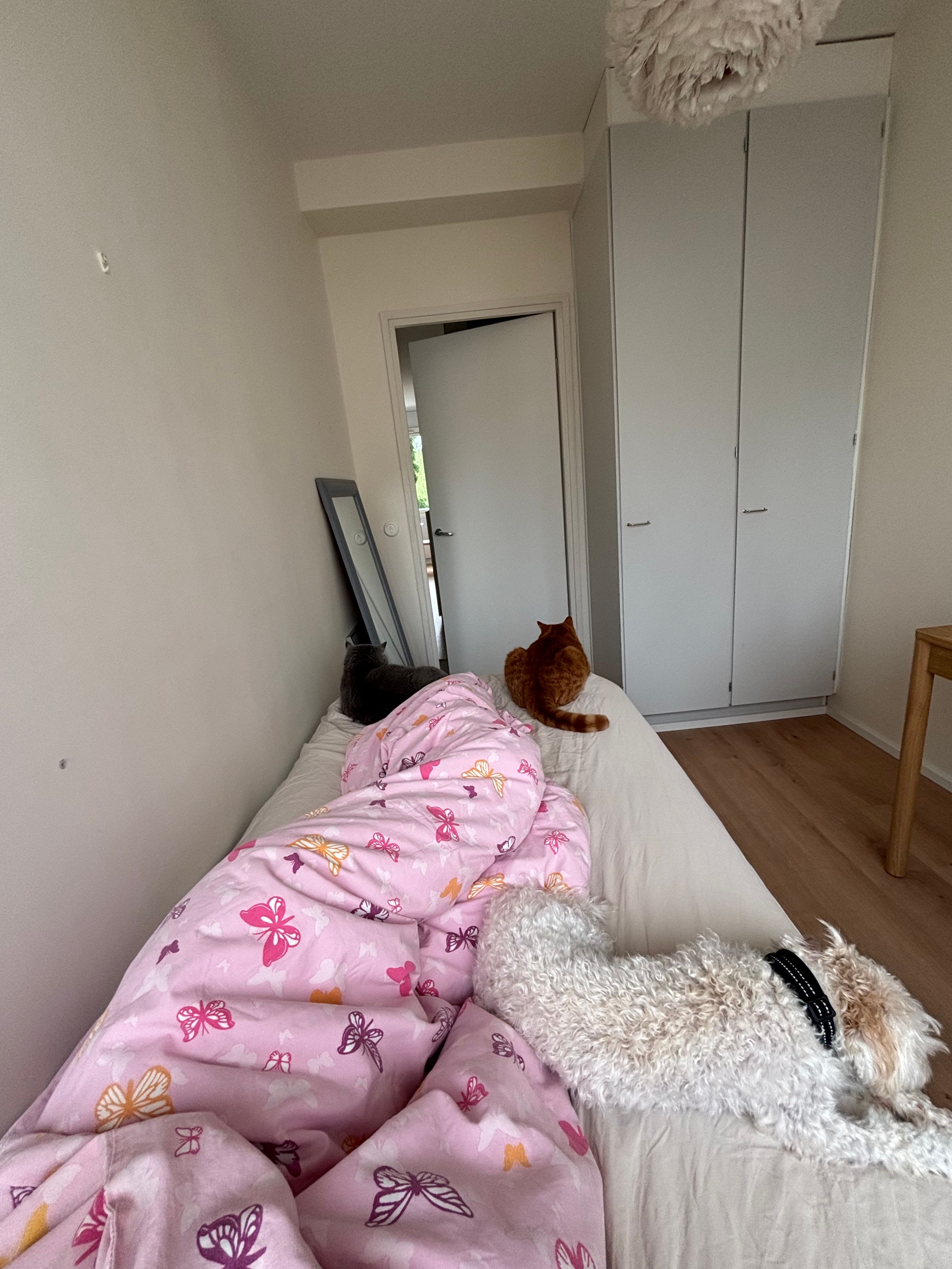 image-14