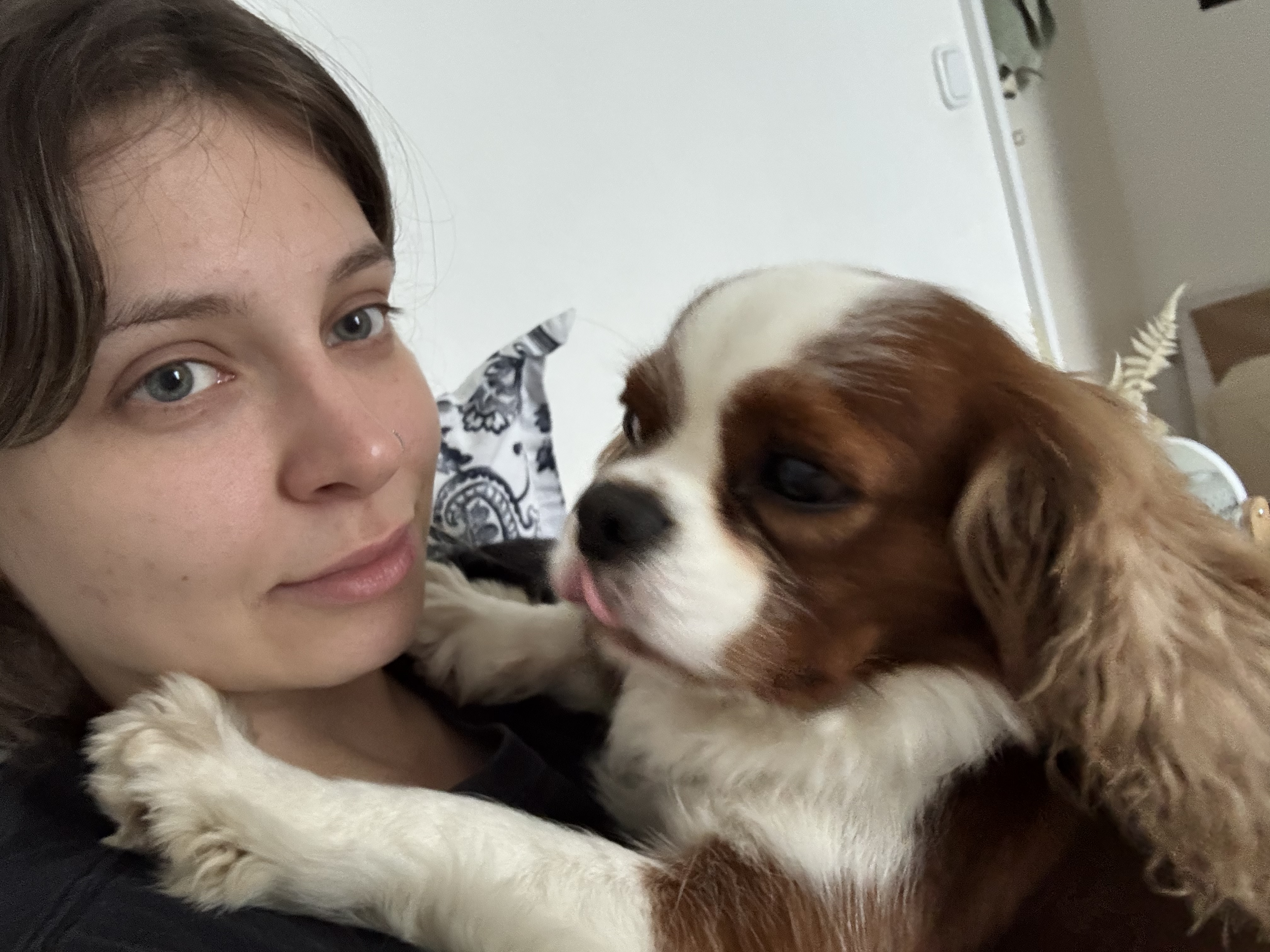 image-9