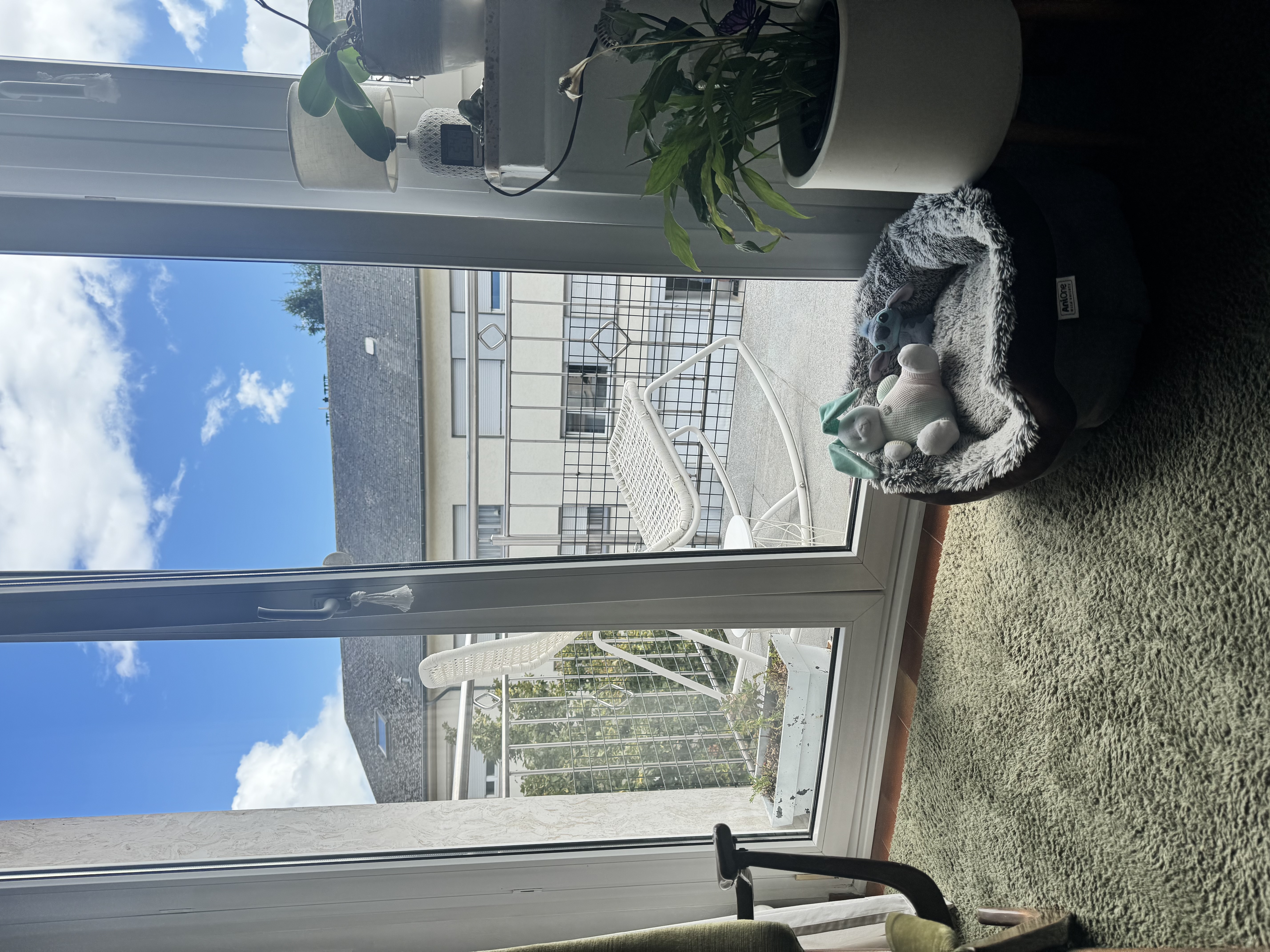 image-12