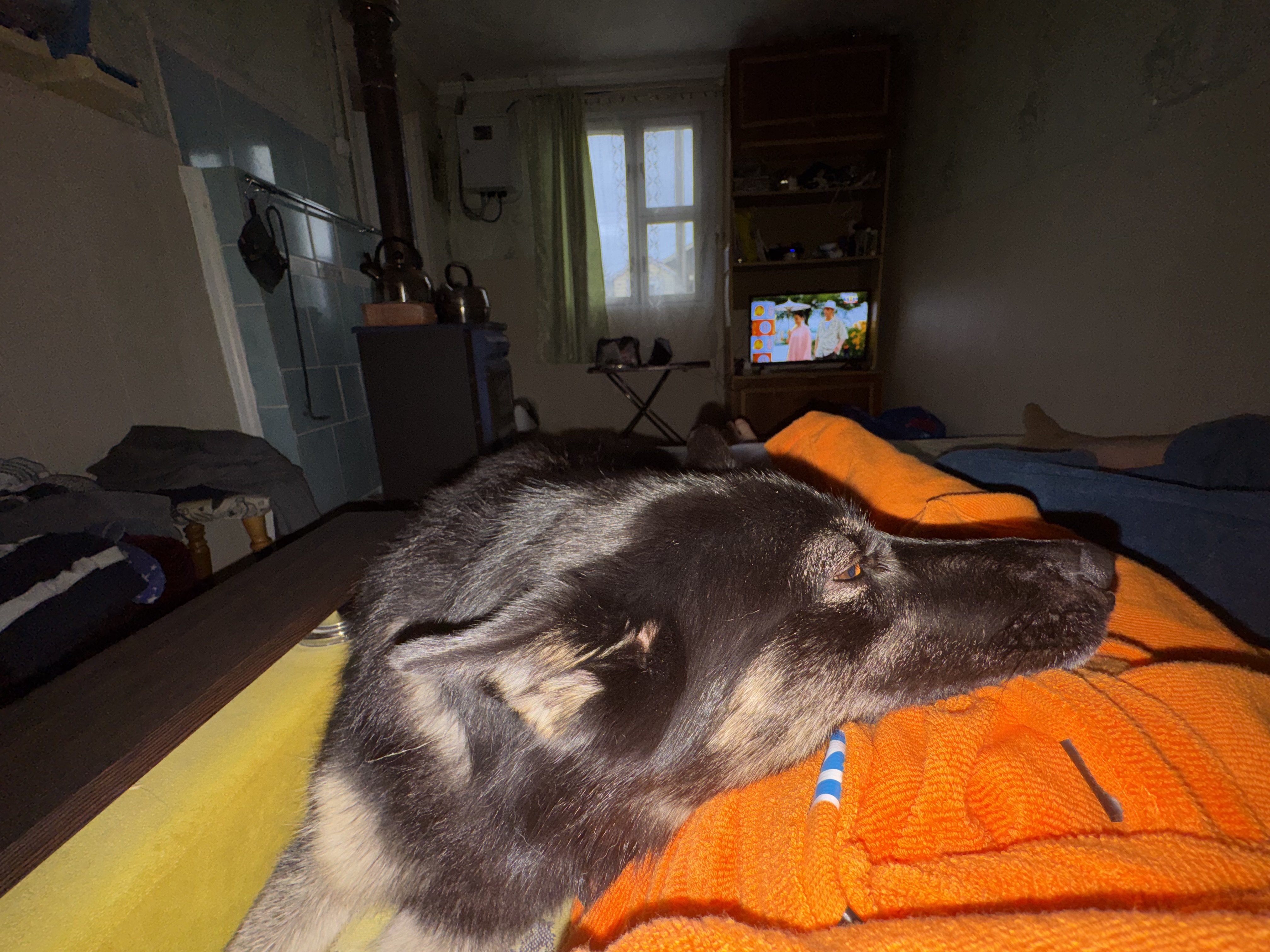 image-8