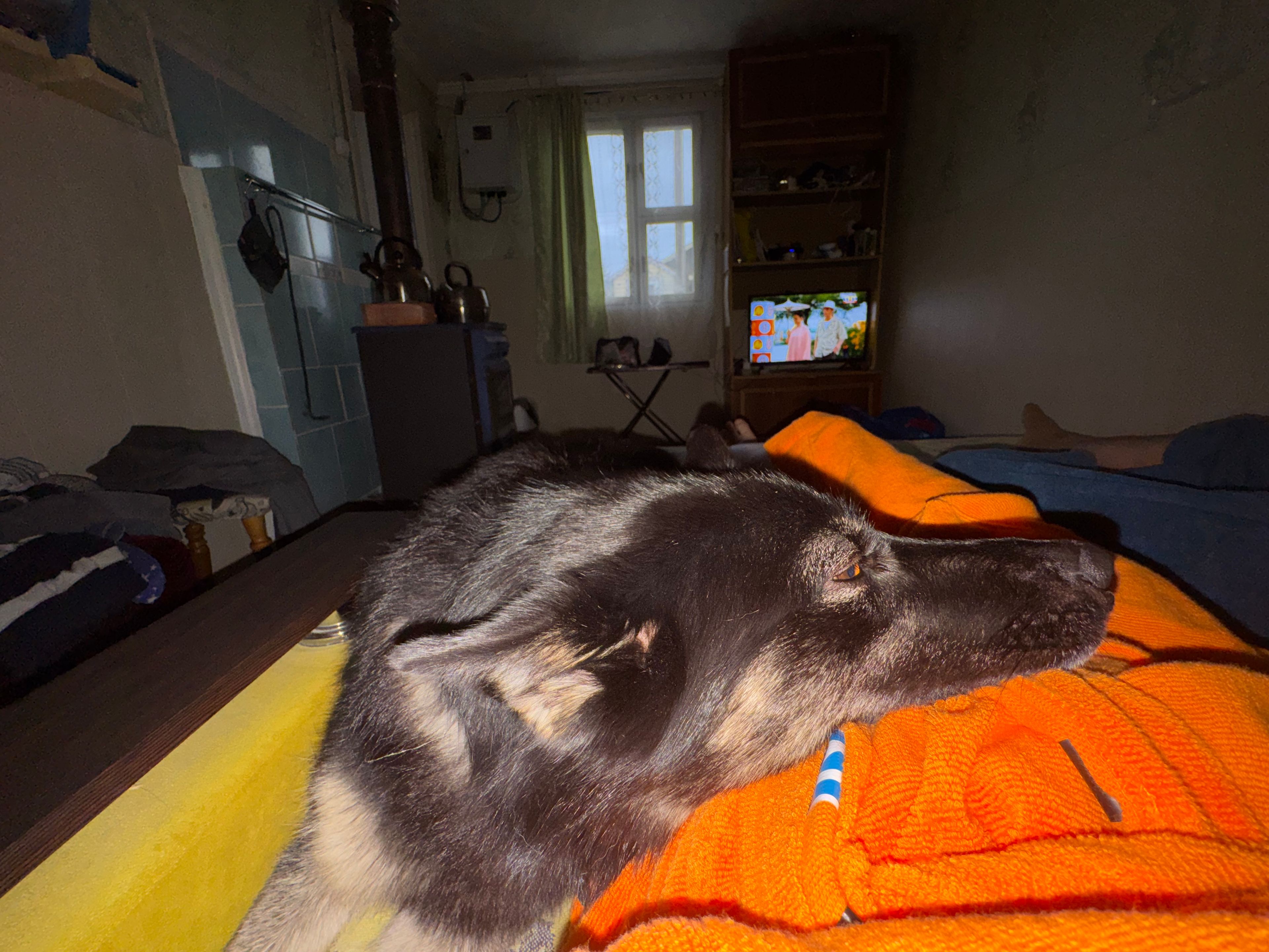 image-8