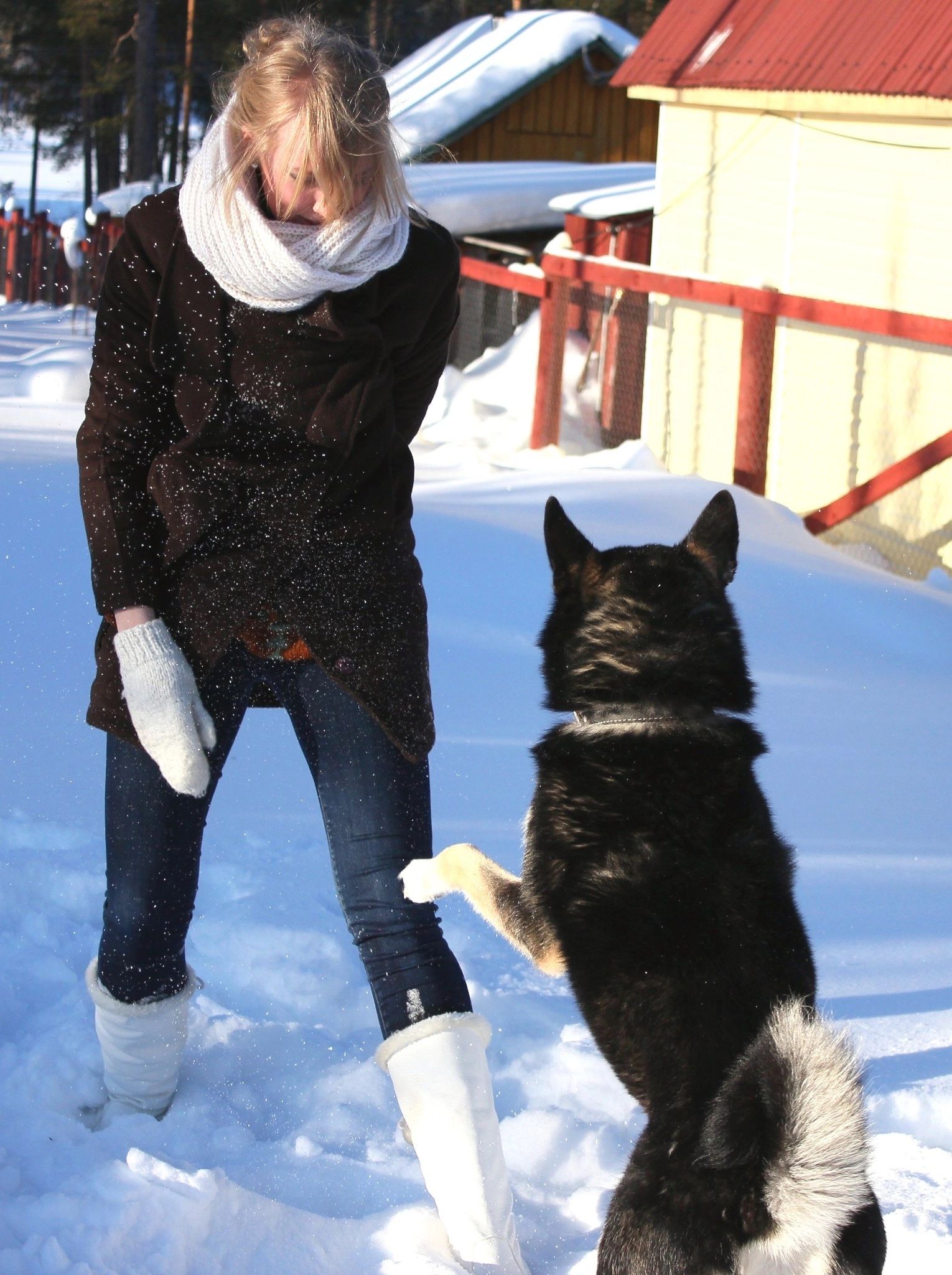 image-5