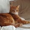 Sabine