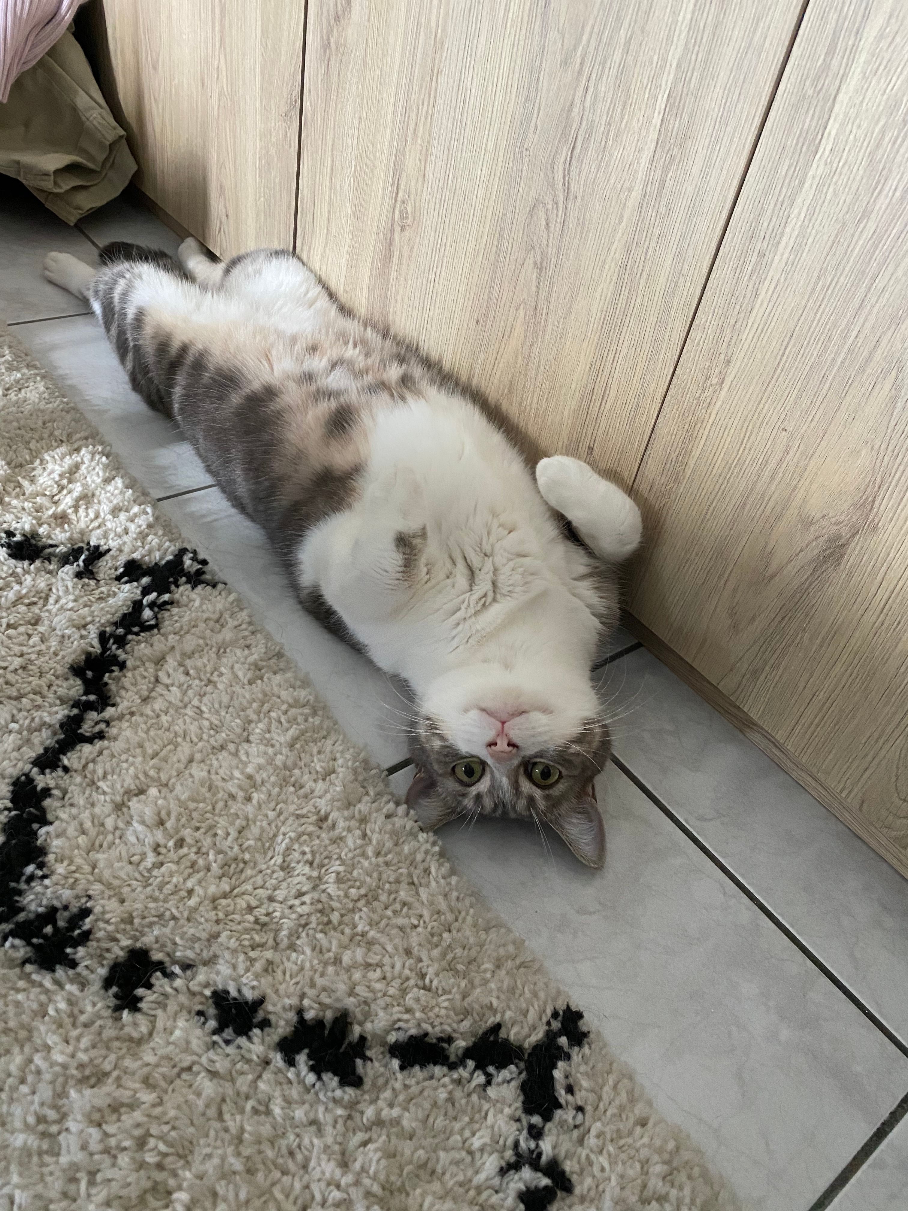 image-10