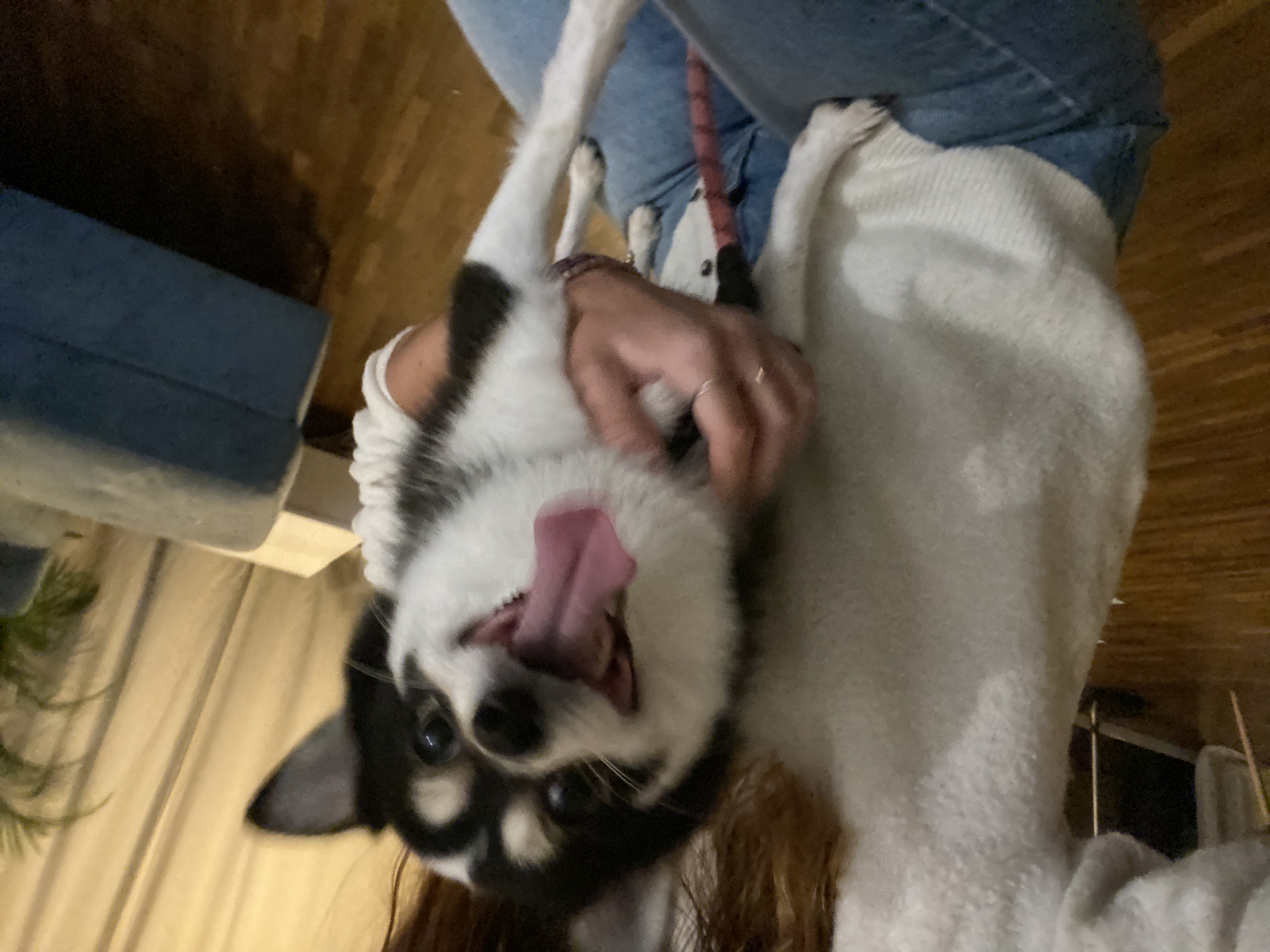image-7