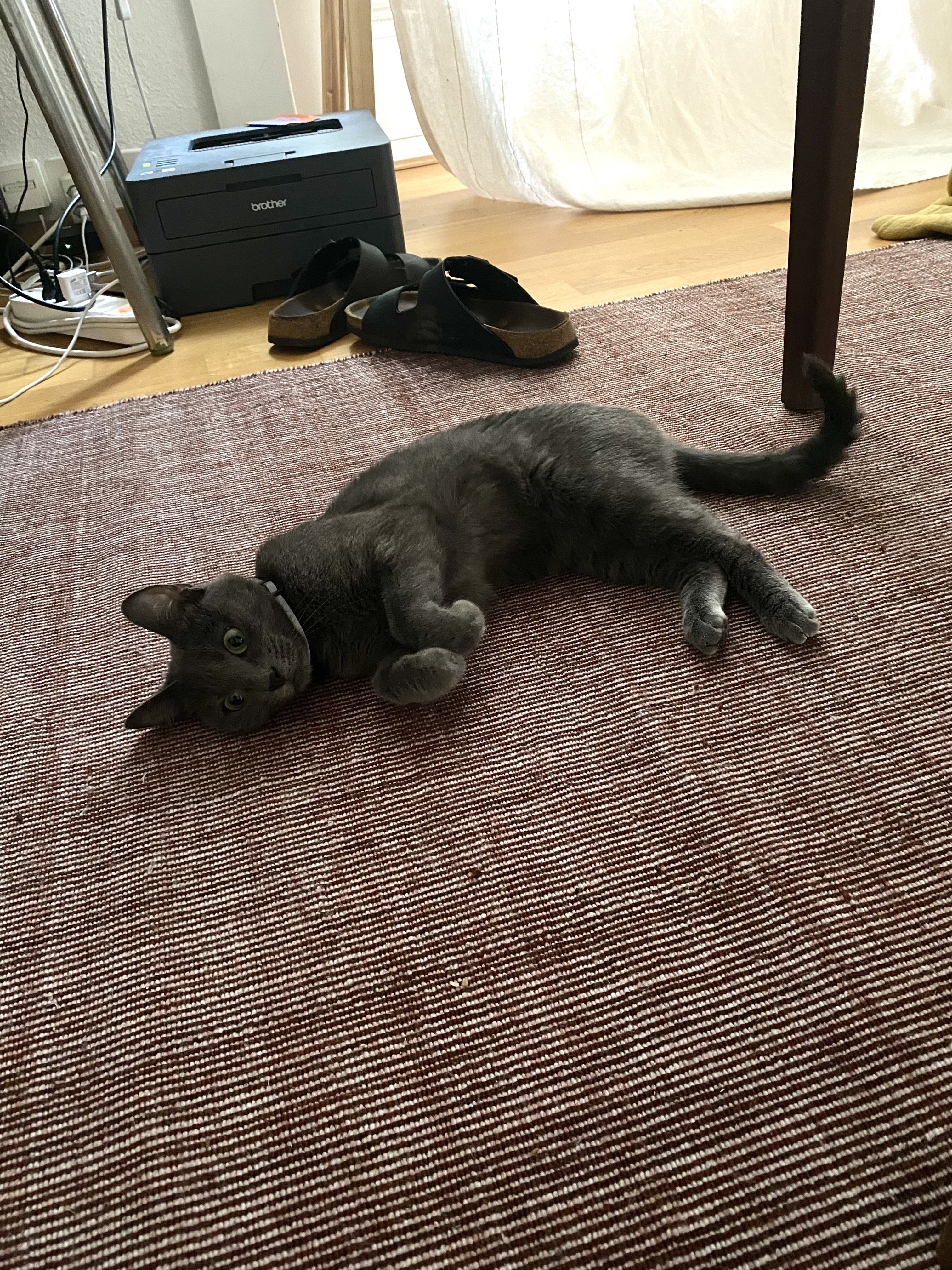 image-10