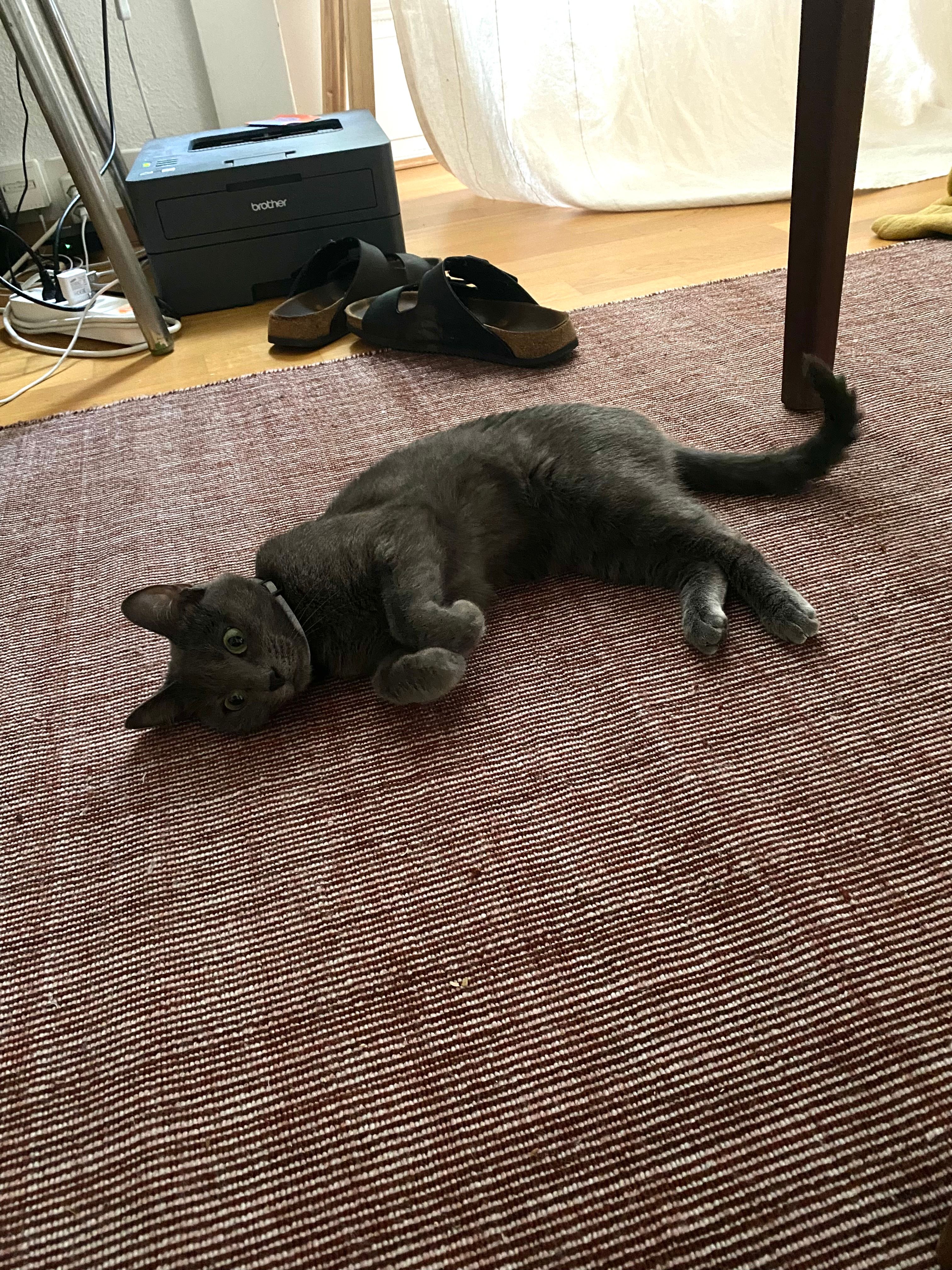 image-10