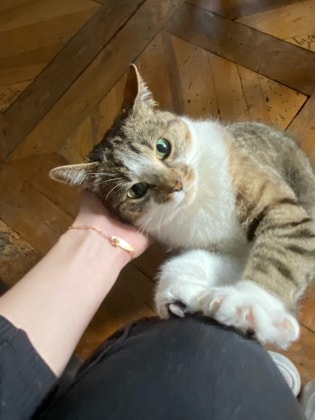 image-10
