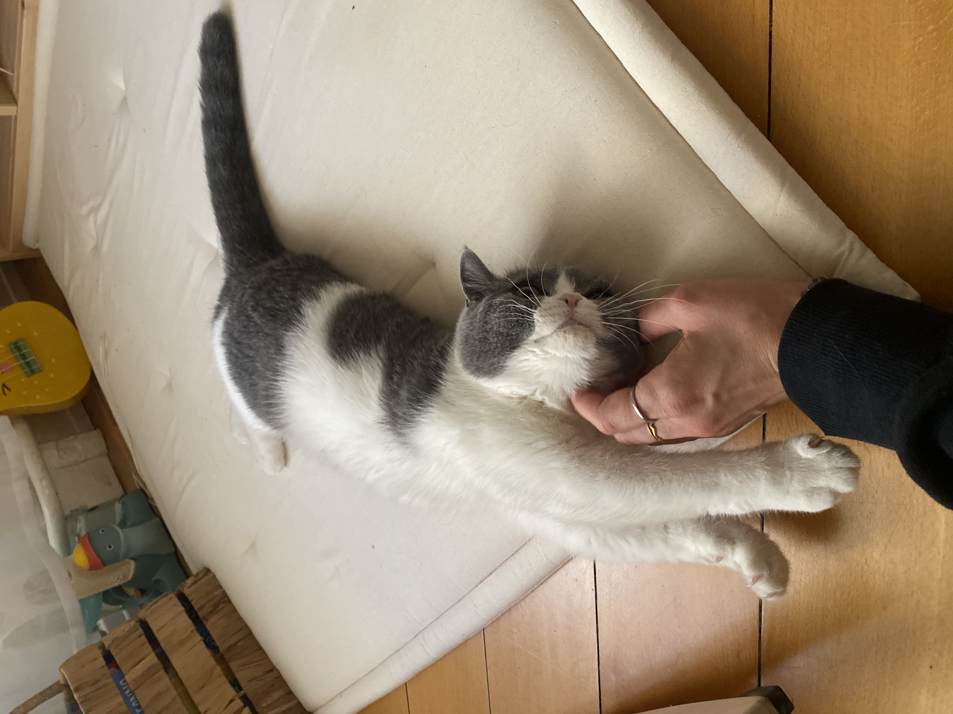 image-12