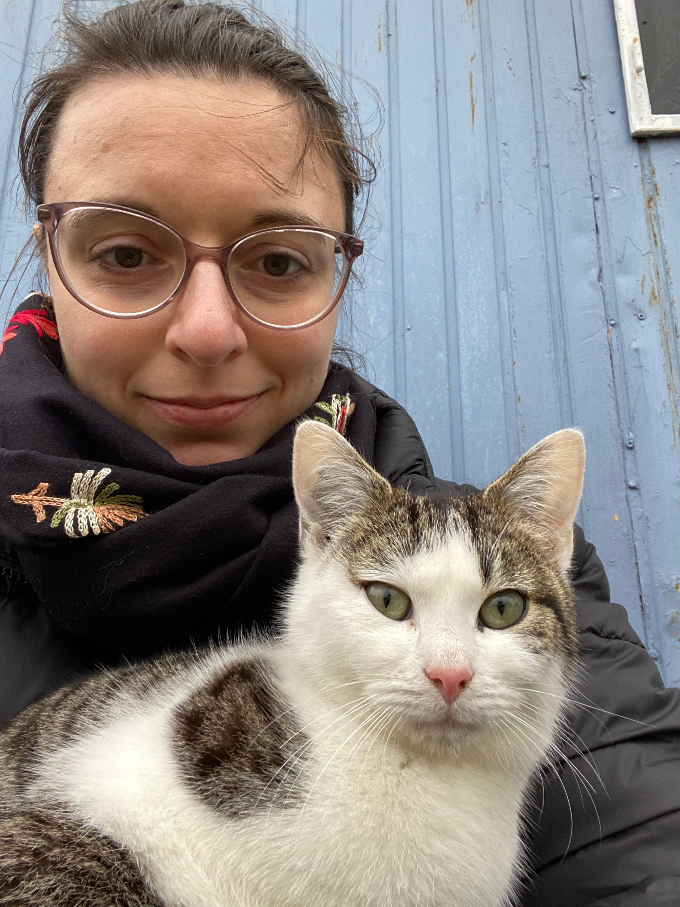 image-8