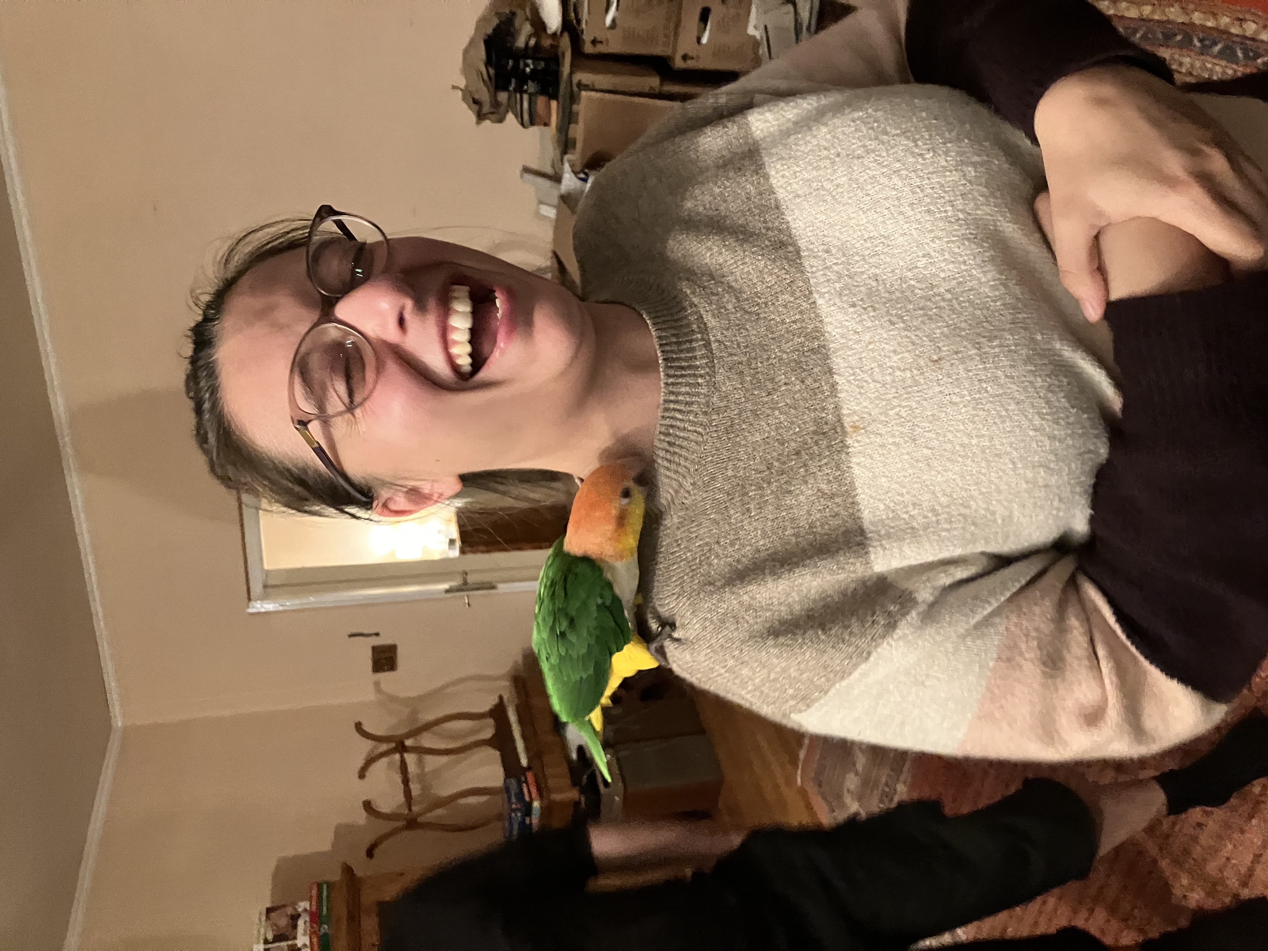 image-6