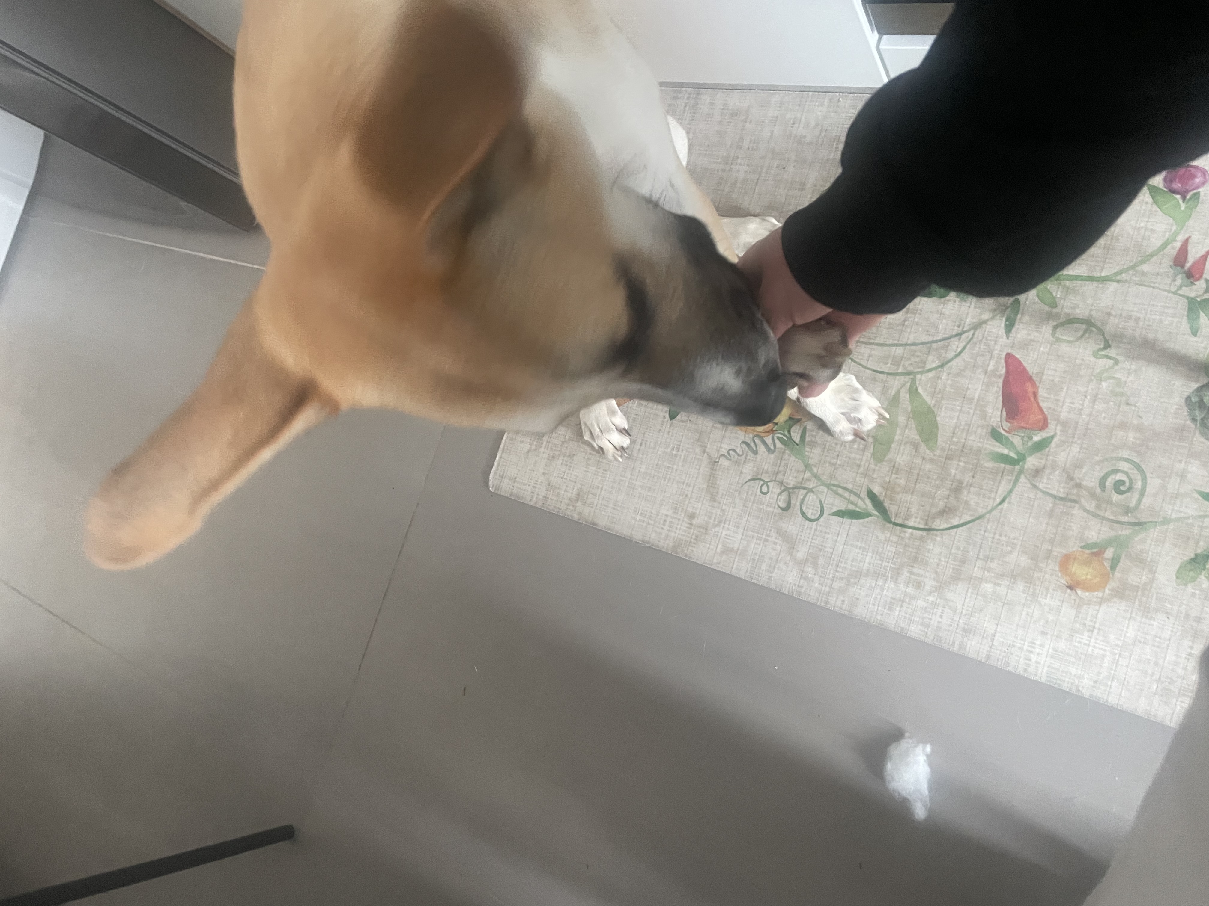 image-7