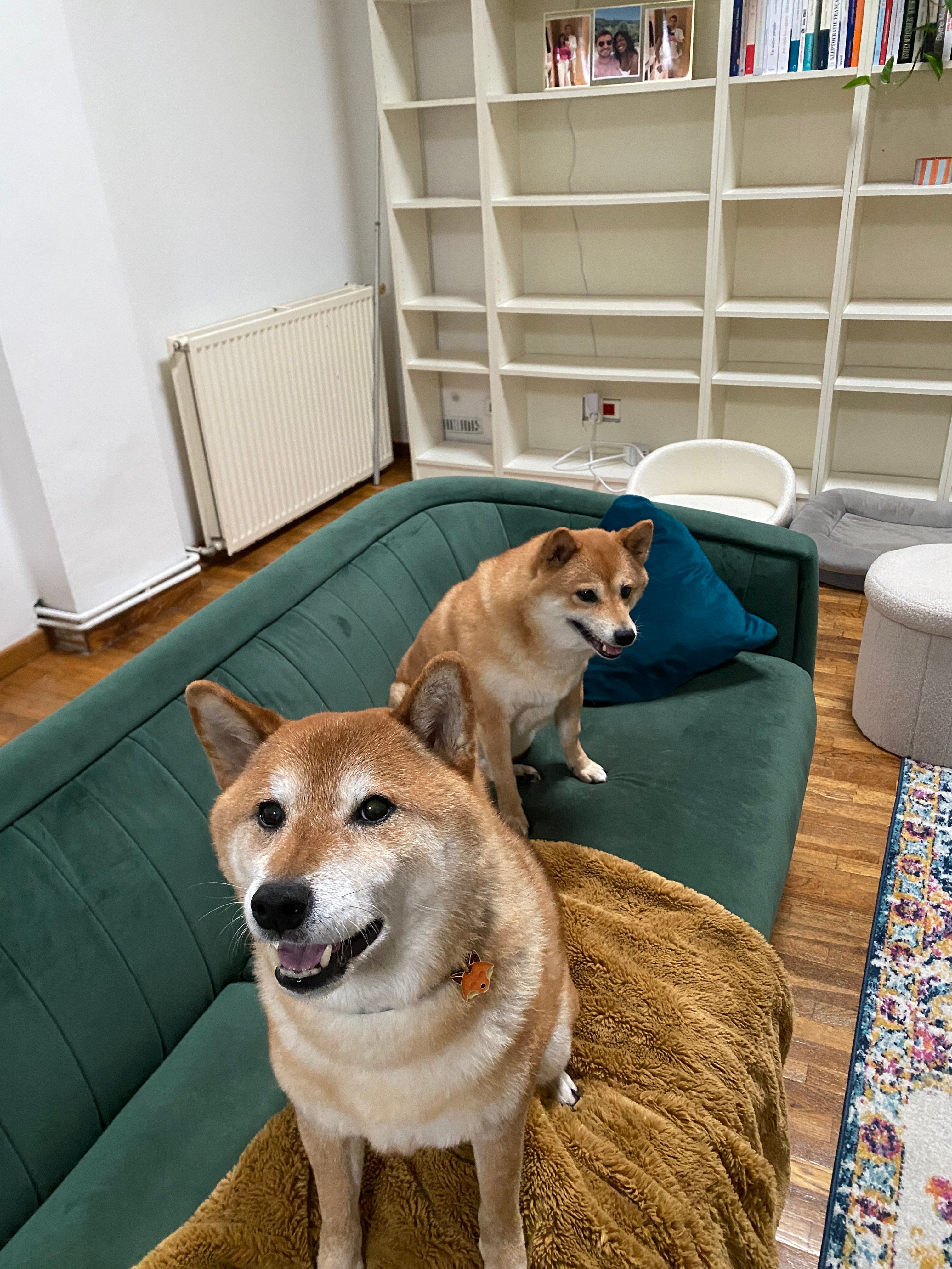 image-6