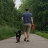 Koen