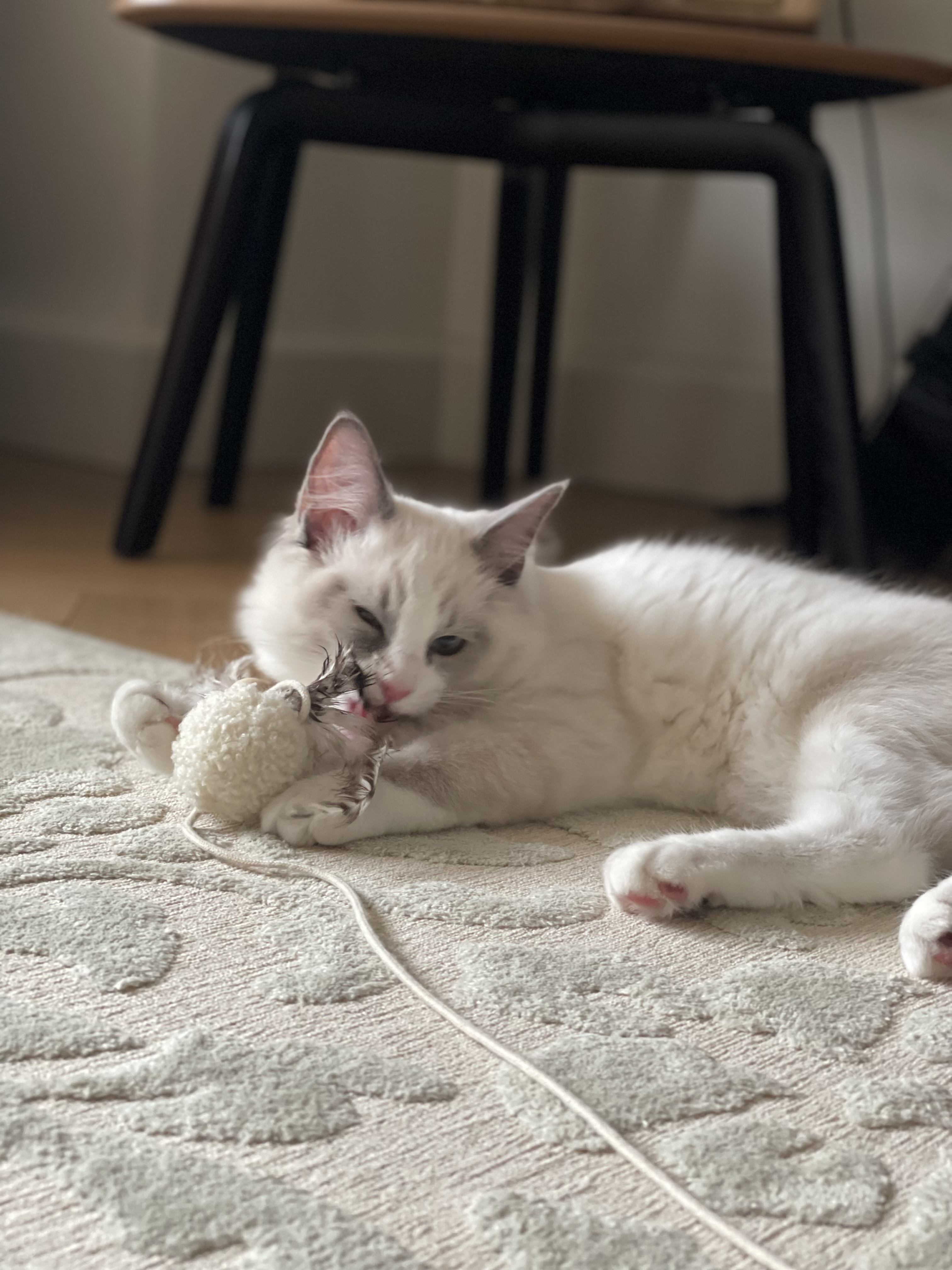 image-18
