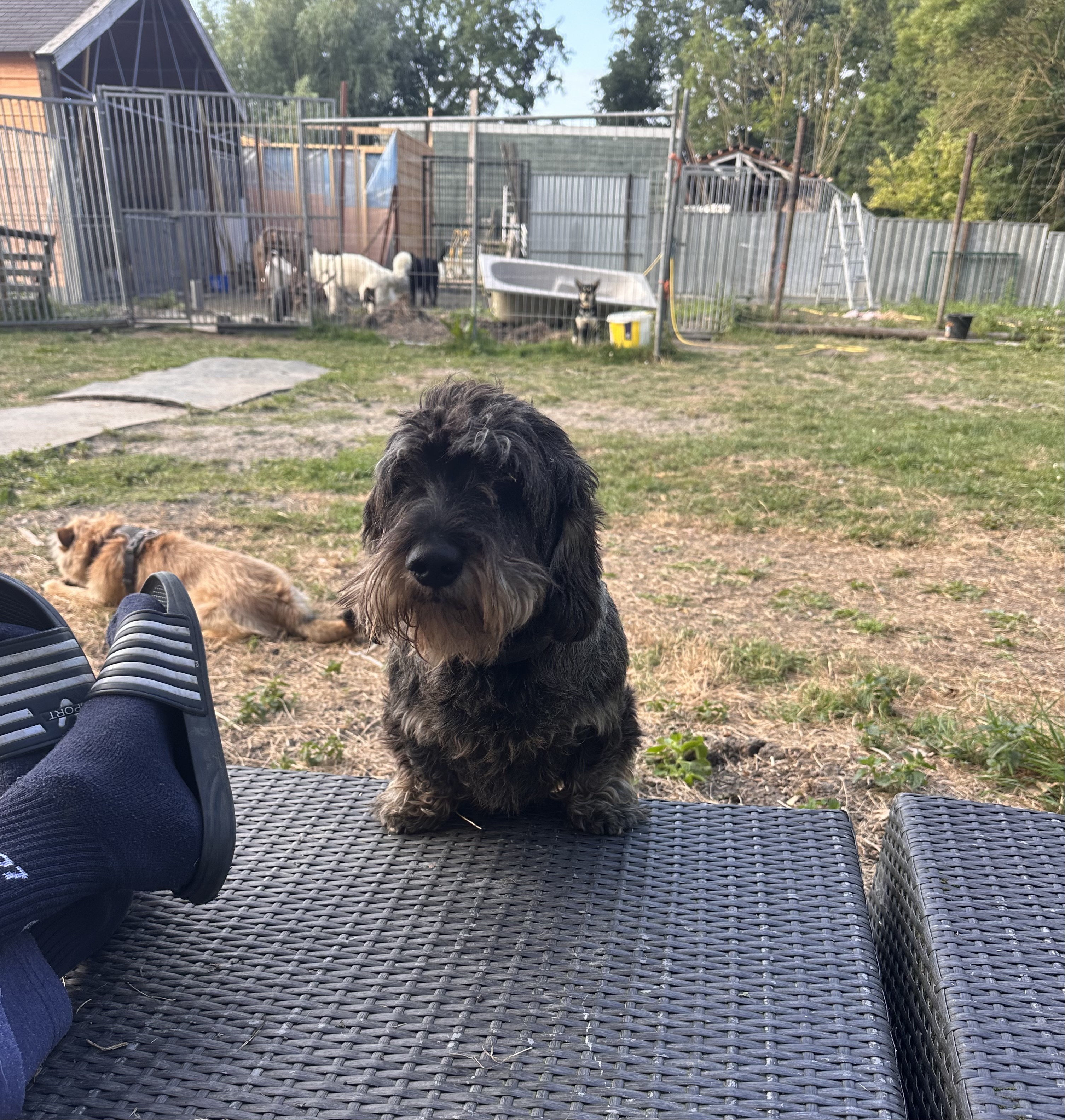 image-8