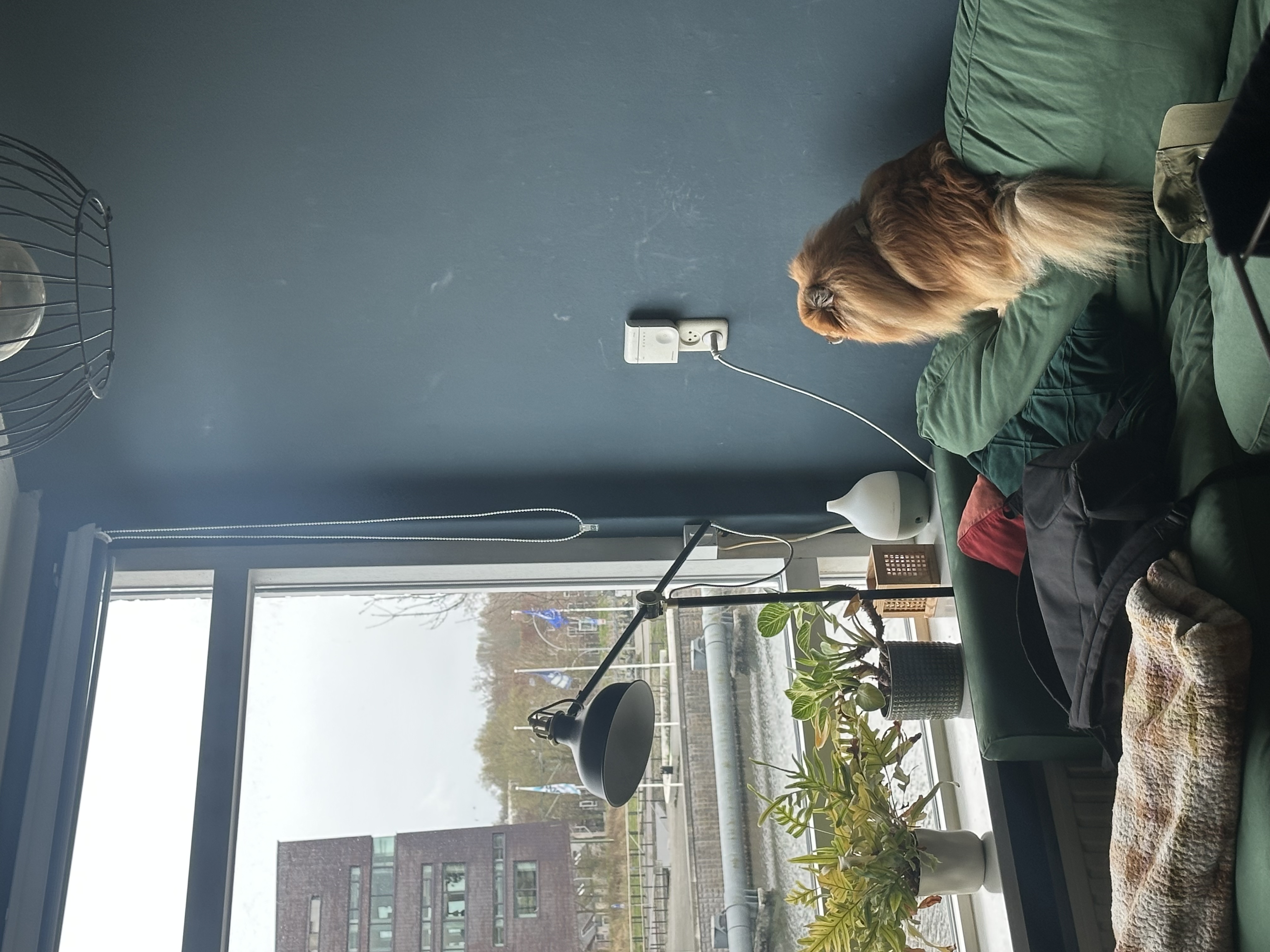 image-20