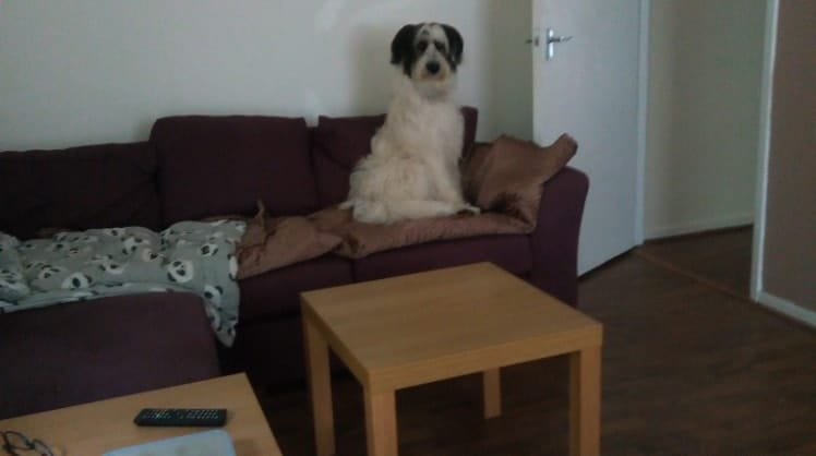 image-5