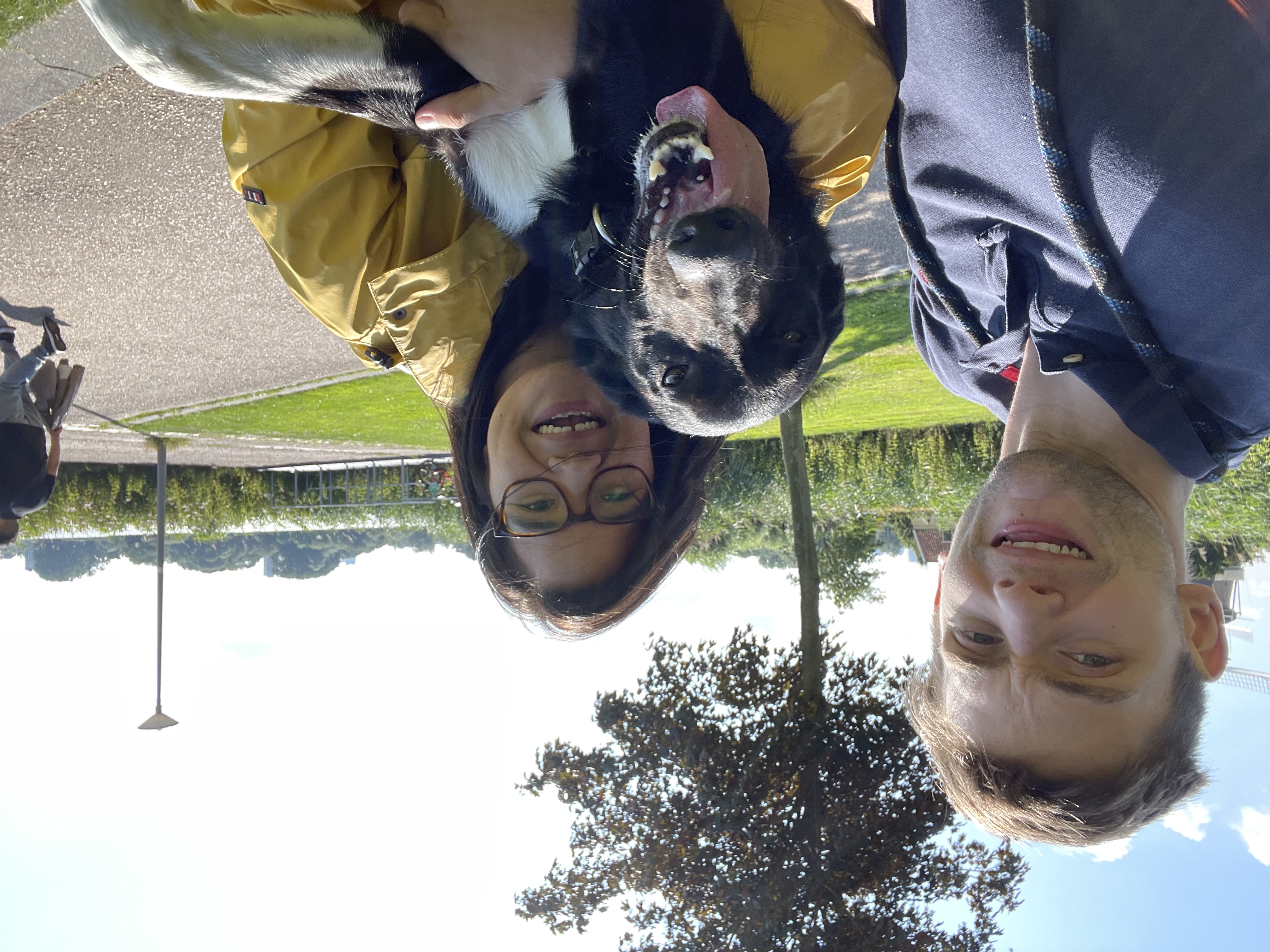 image-1