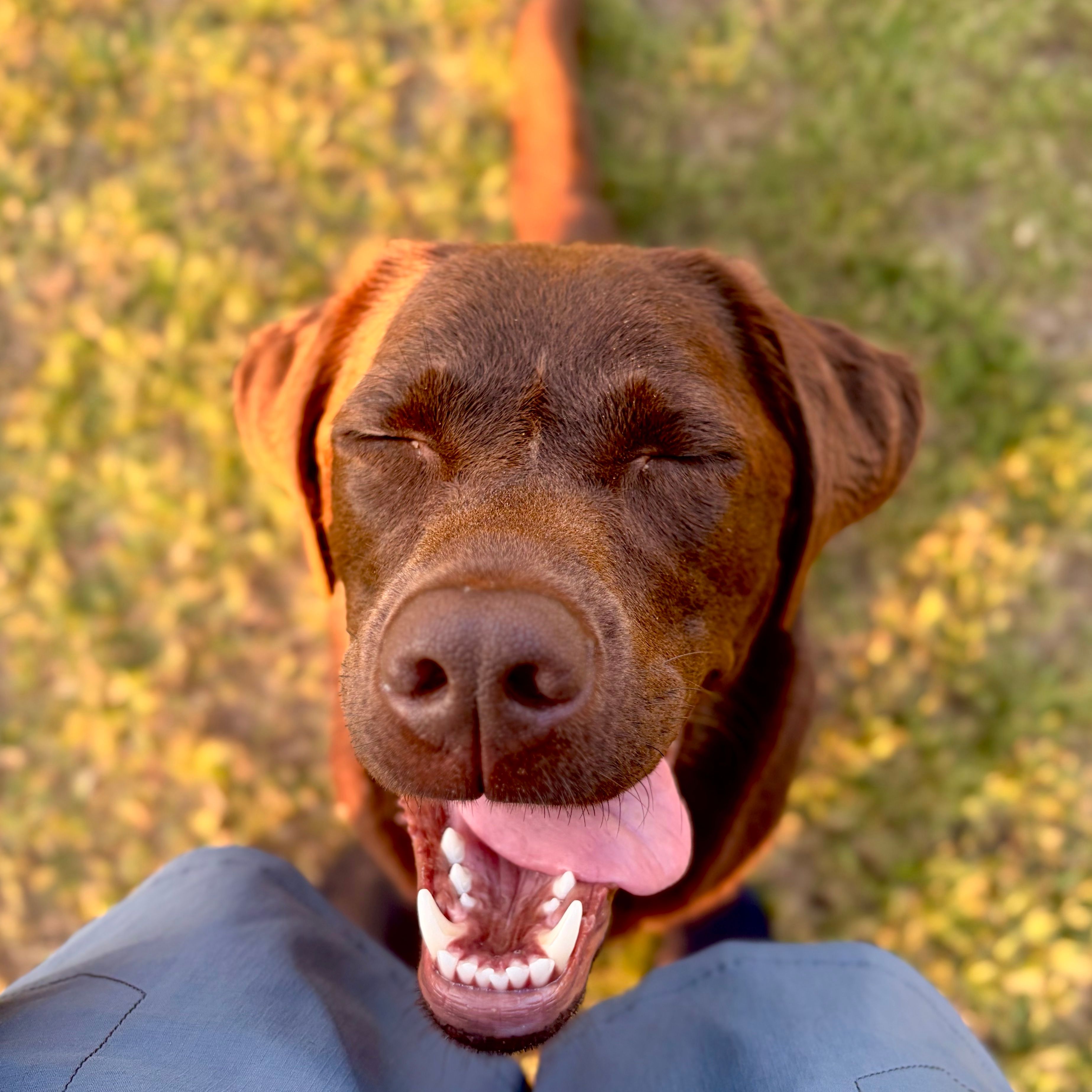 Maggie