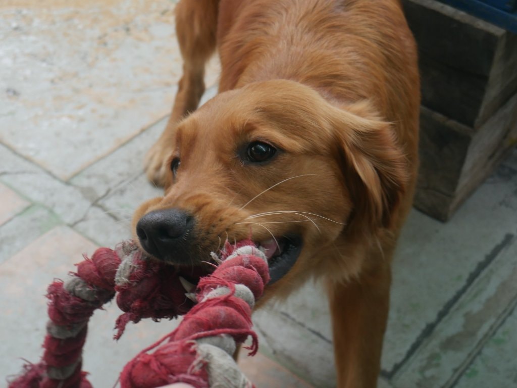 image-4