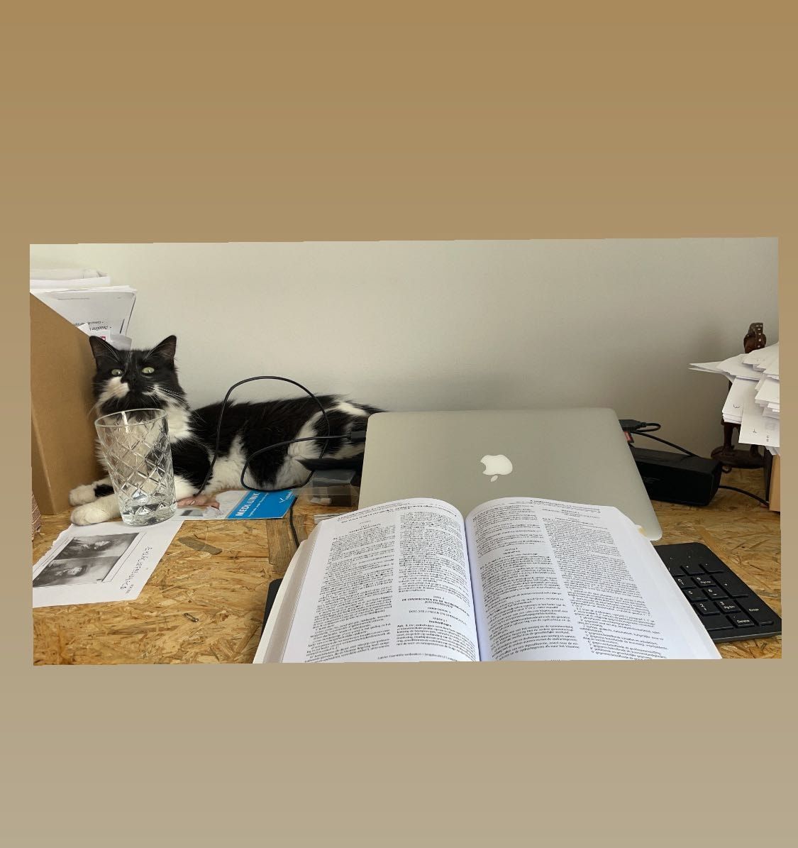 image-22