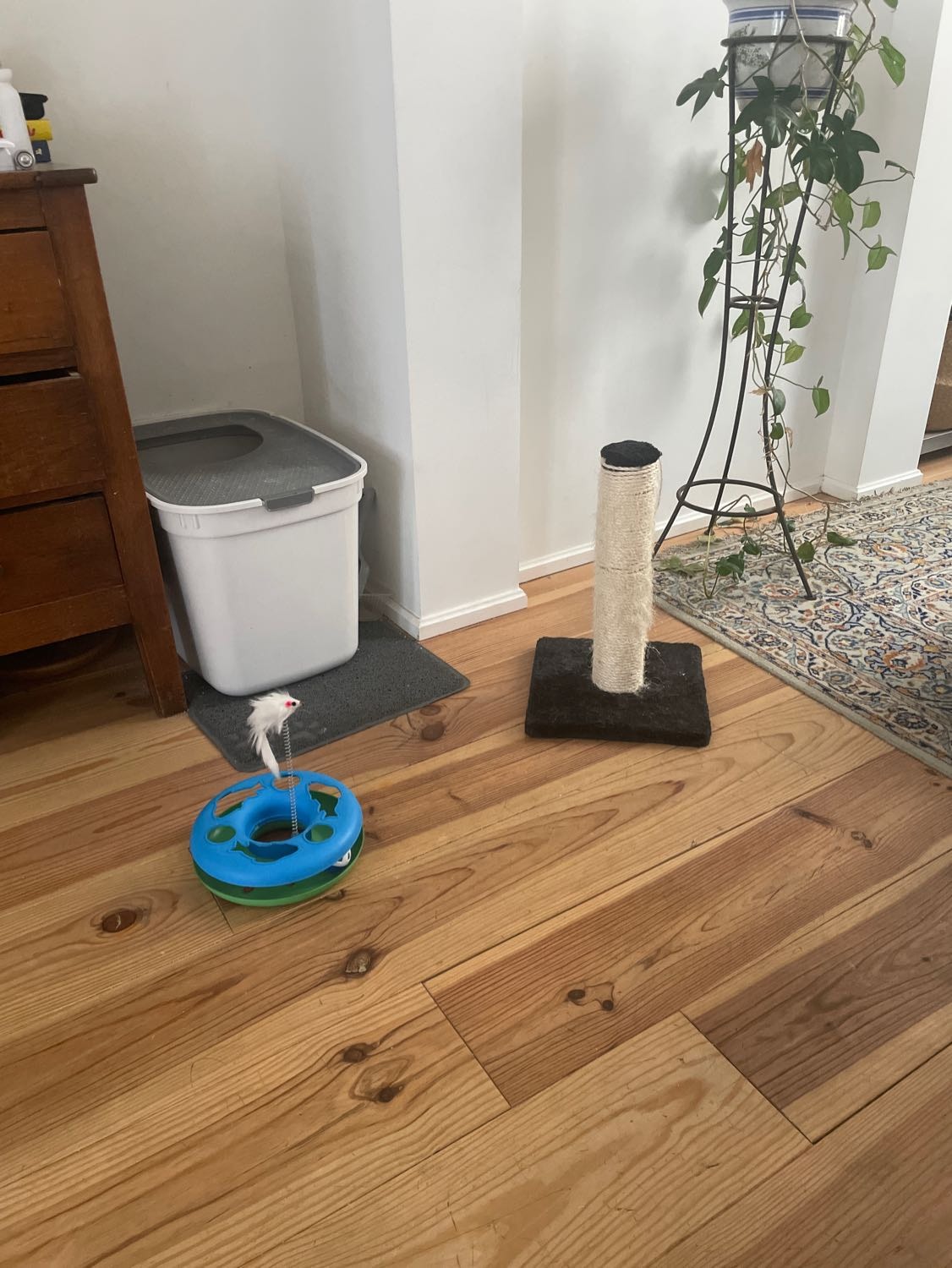 image-15