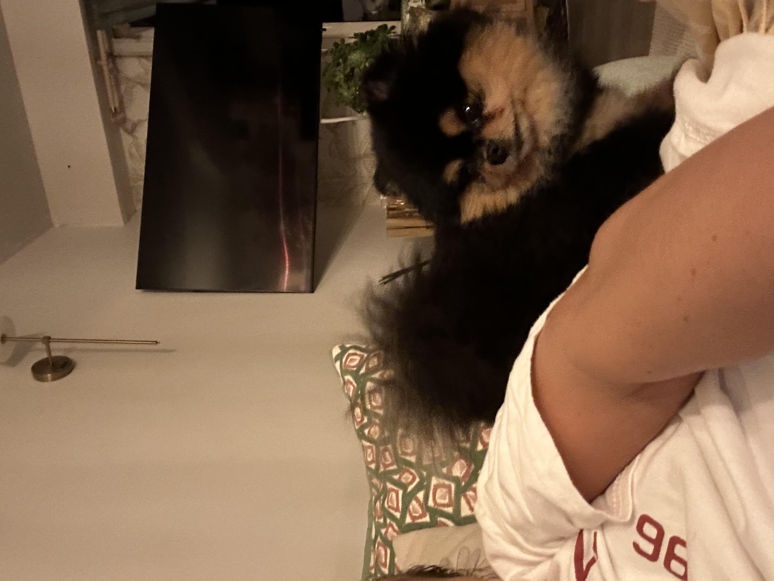 image-8