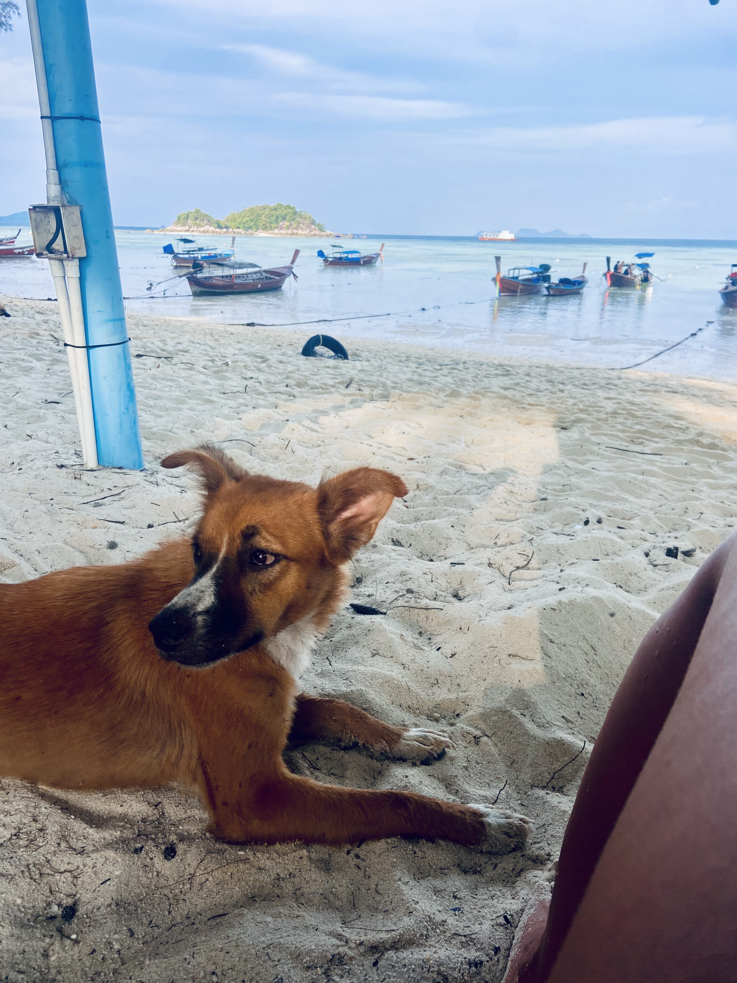 image-6