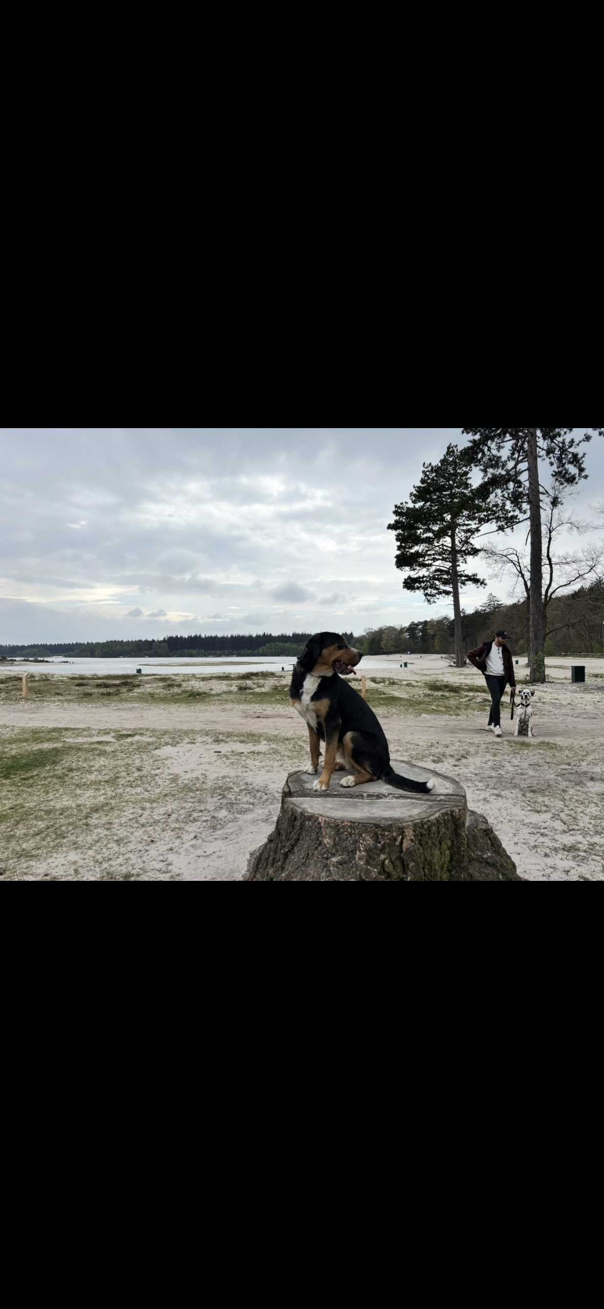 image-32