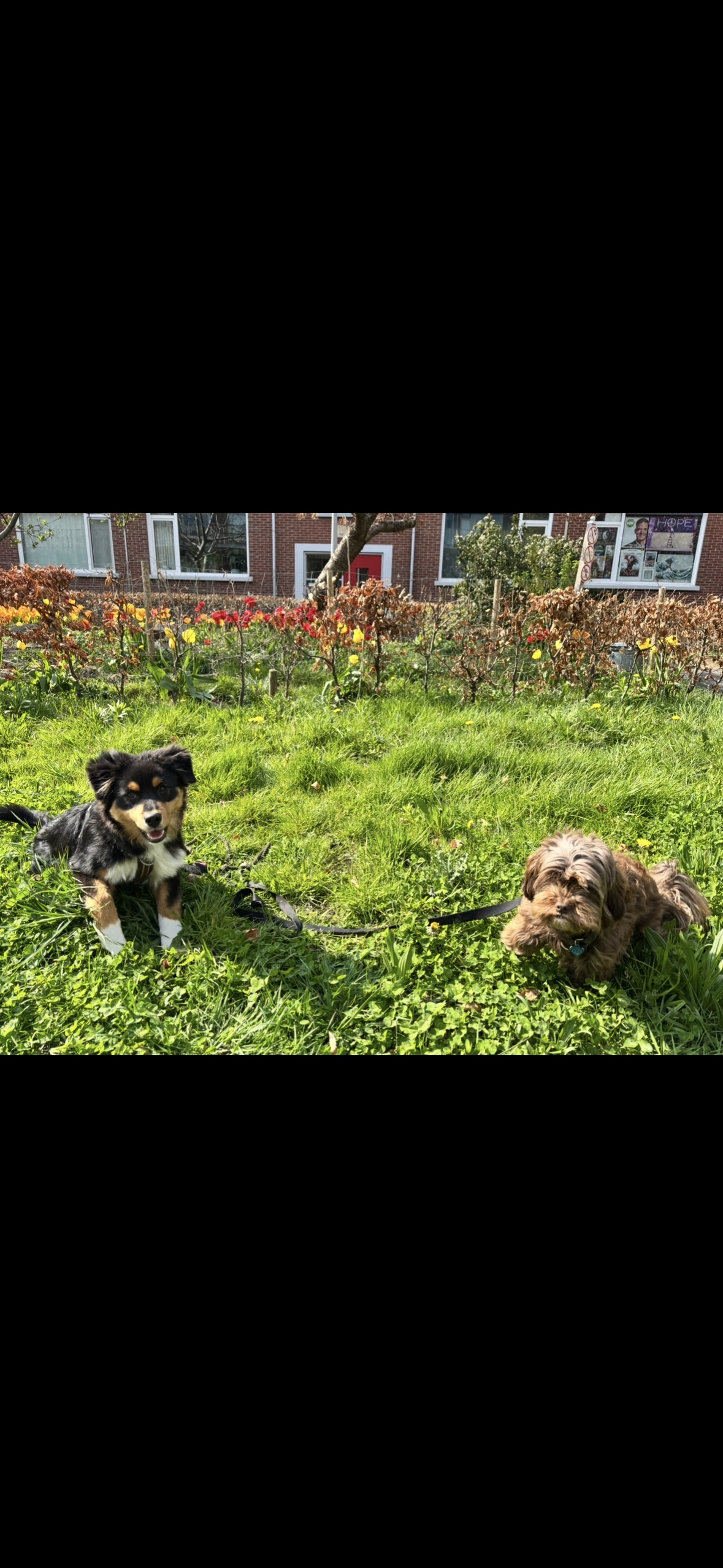 image-28