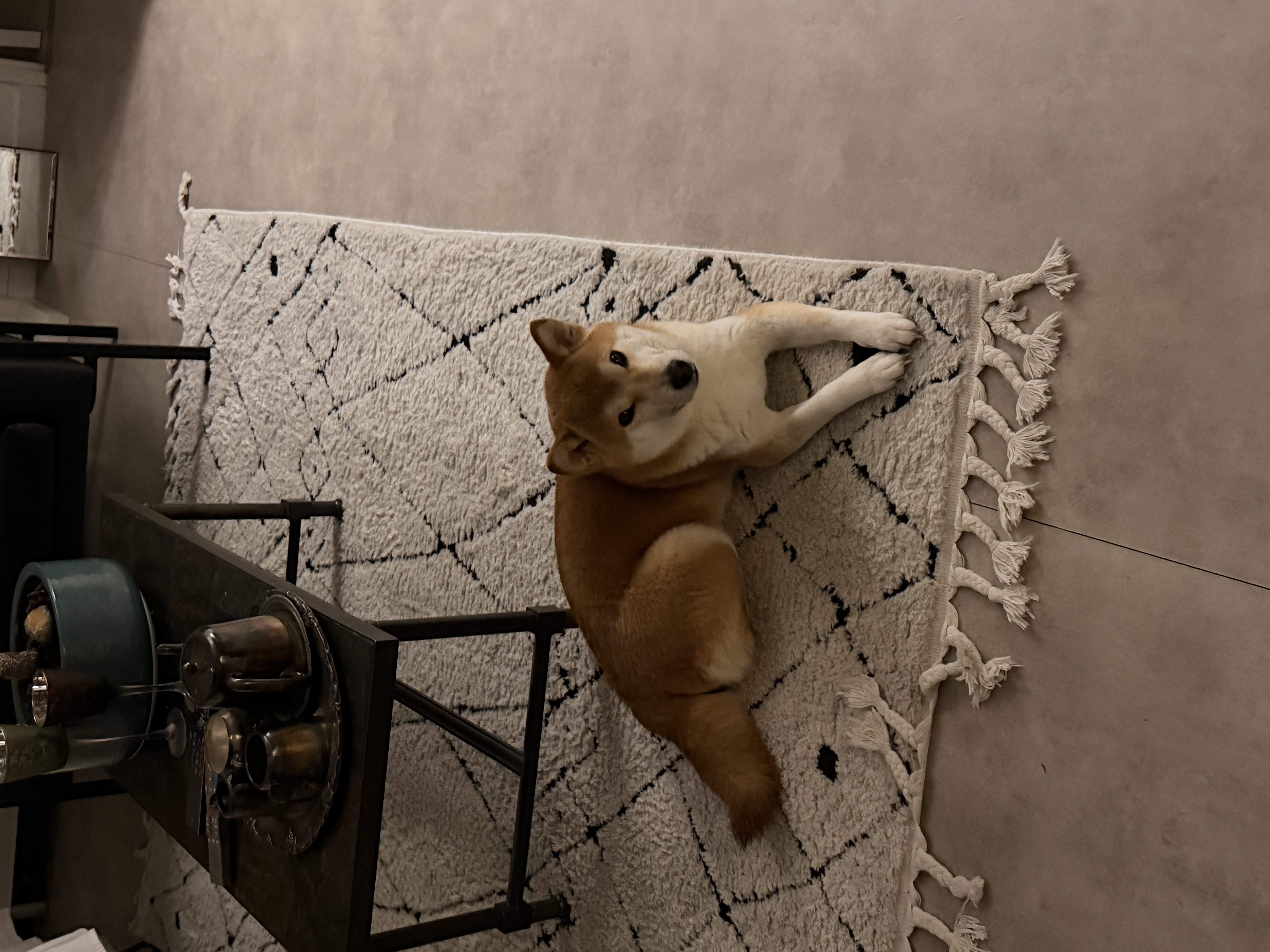 image-6
