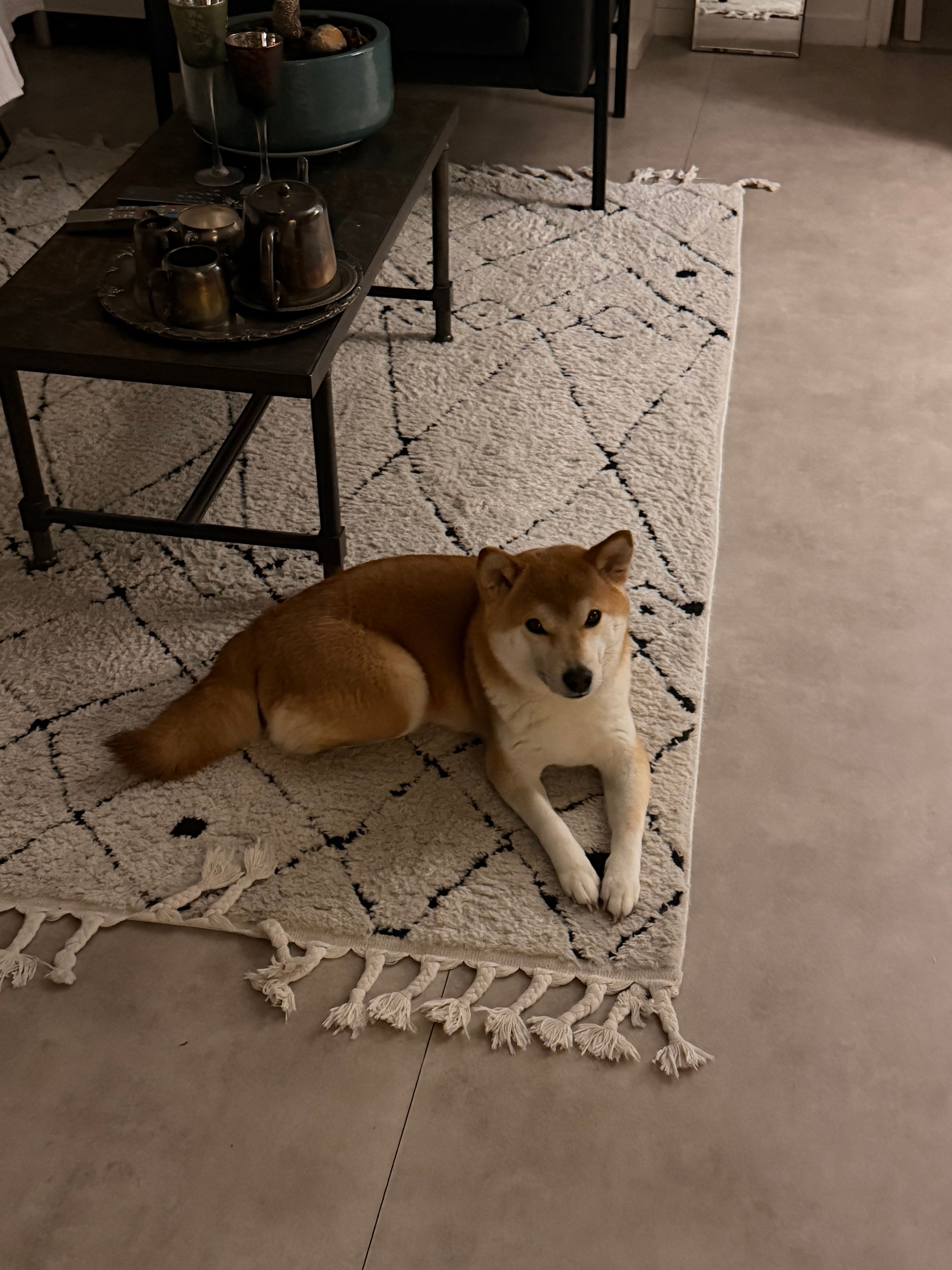 image-6