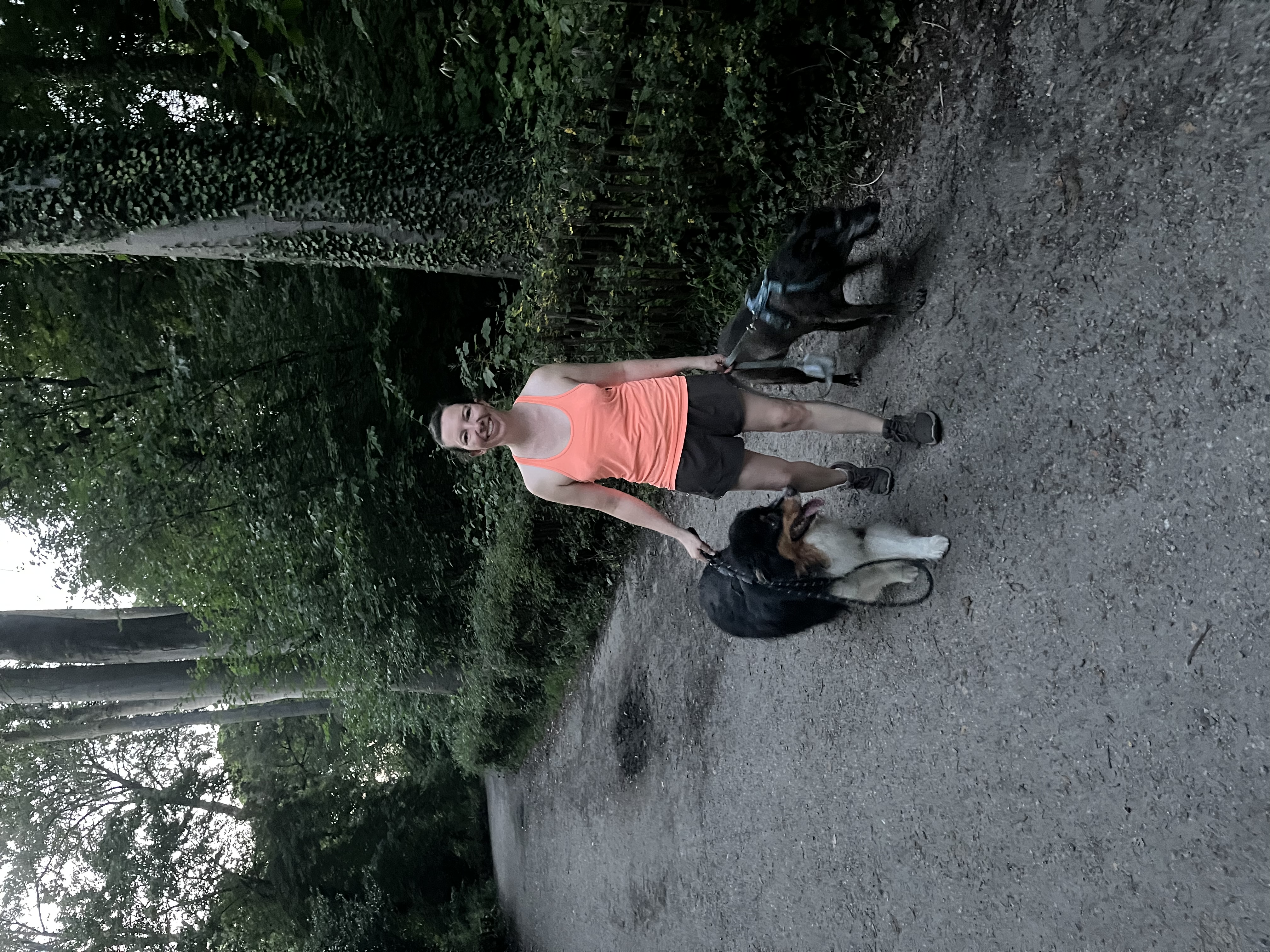 image-14