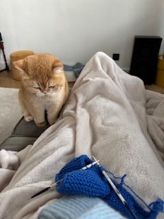 image-8