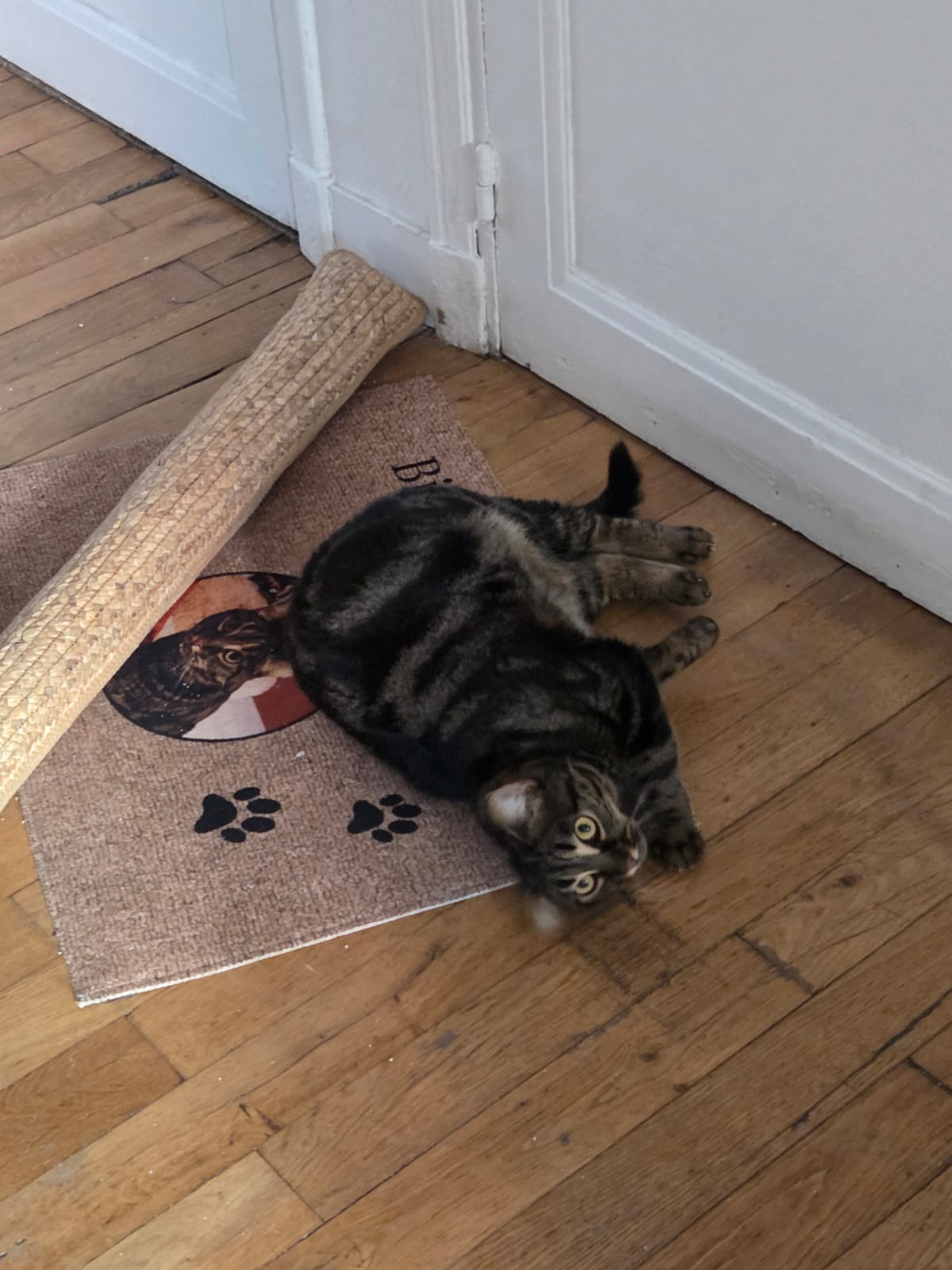 image-6