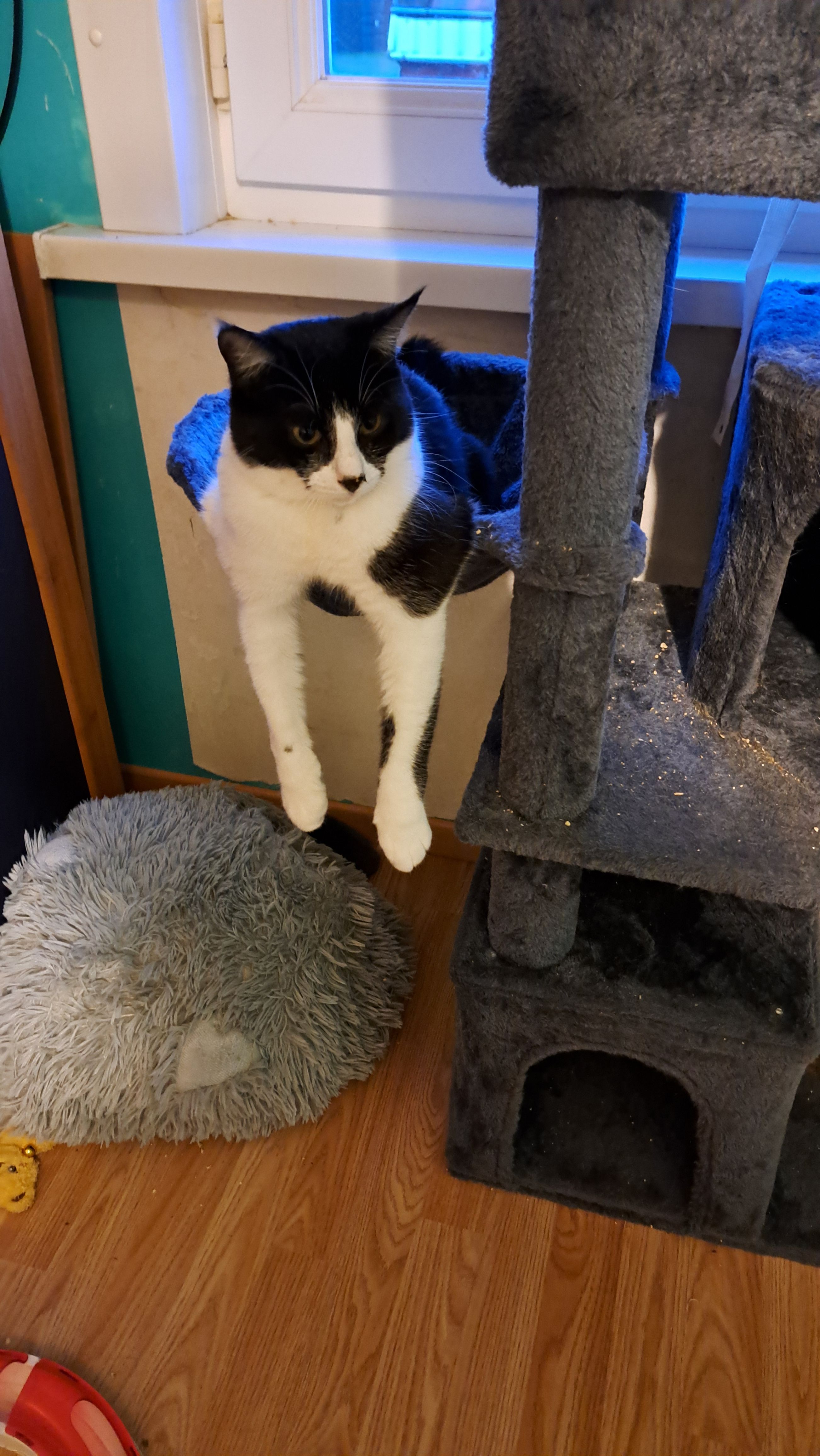 image-12