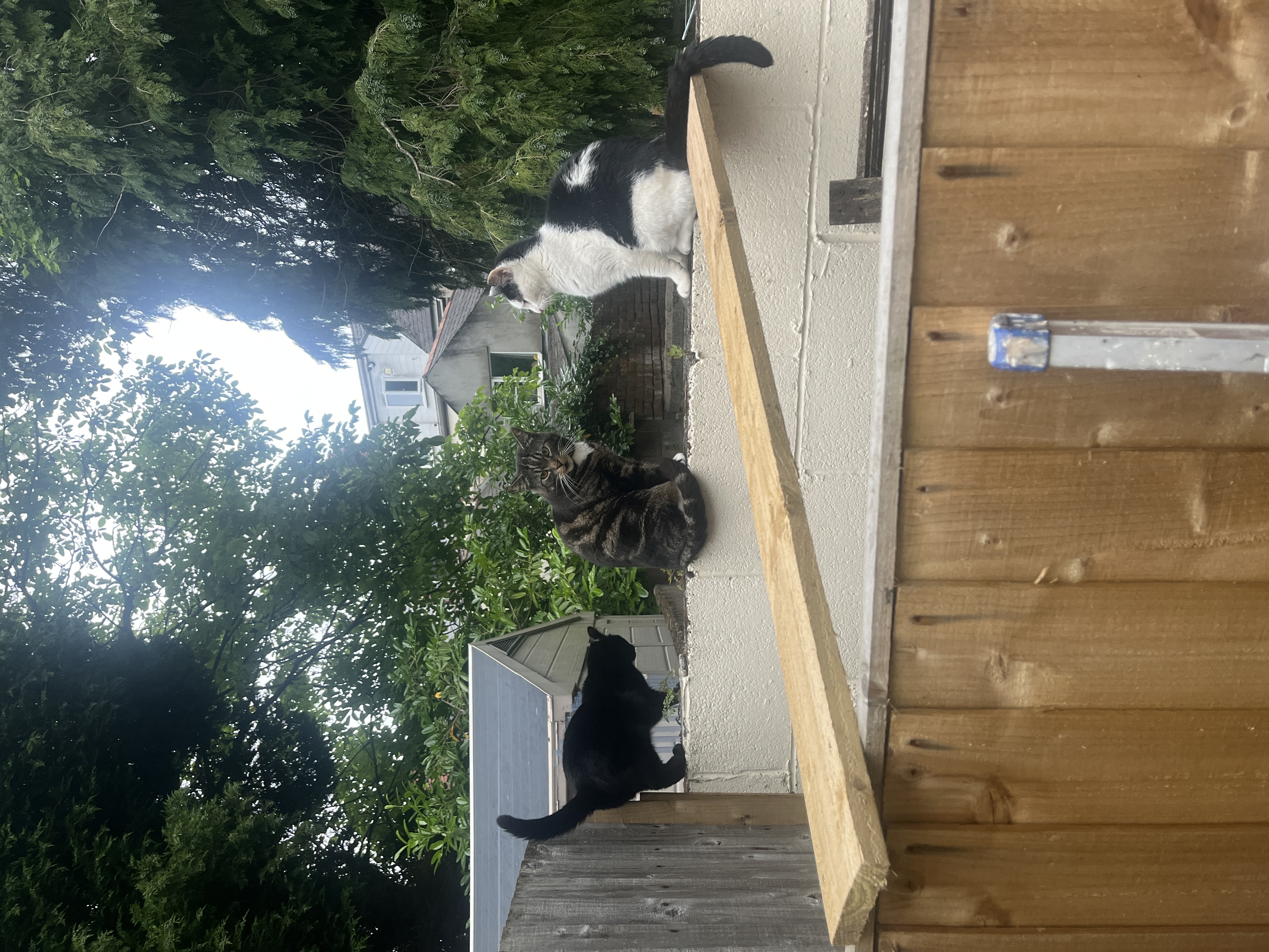 image-13