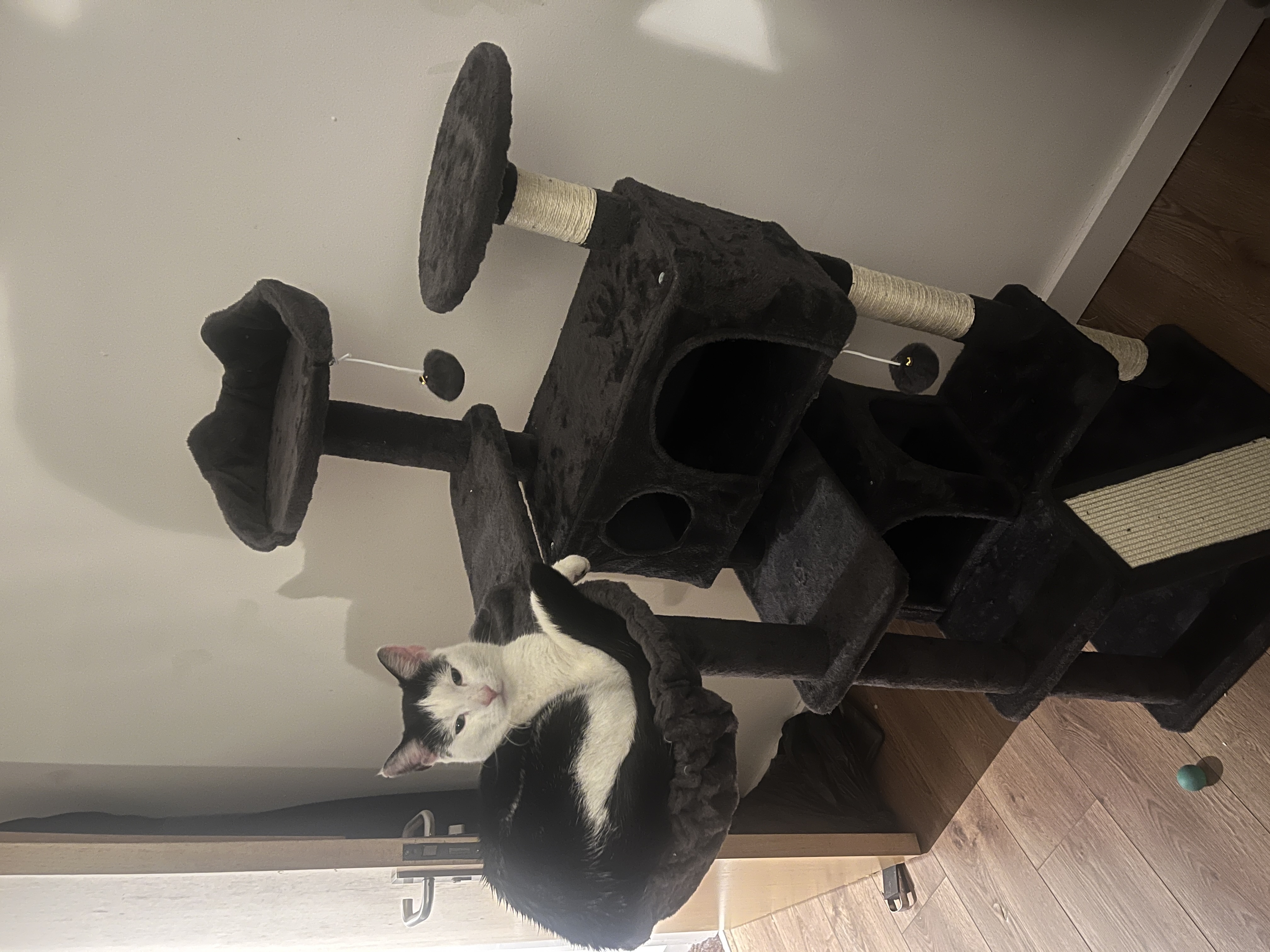 image-21