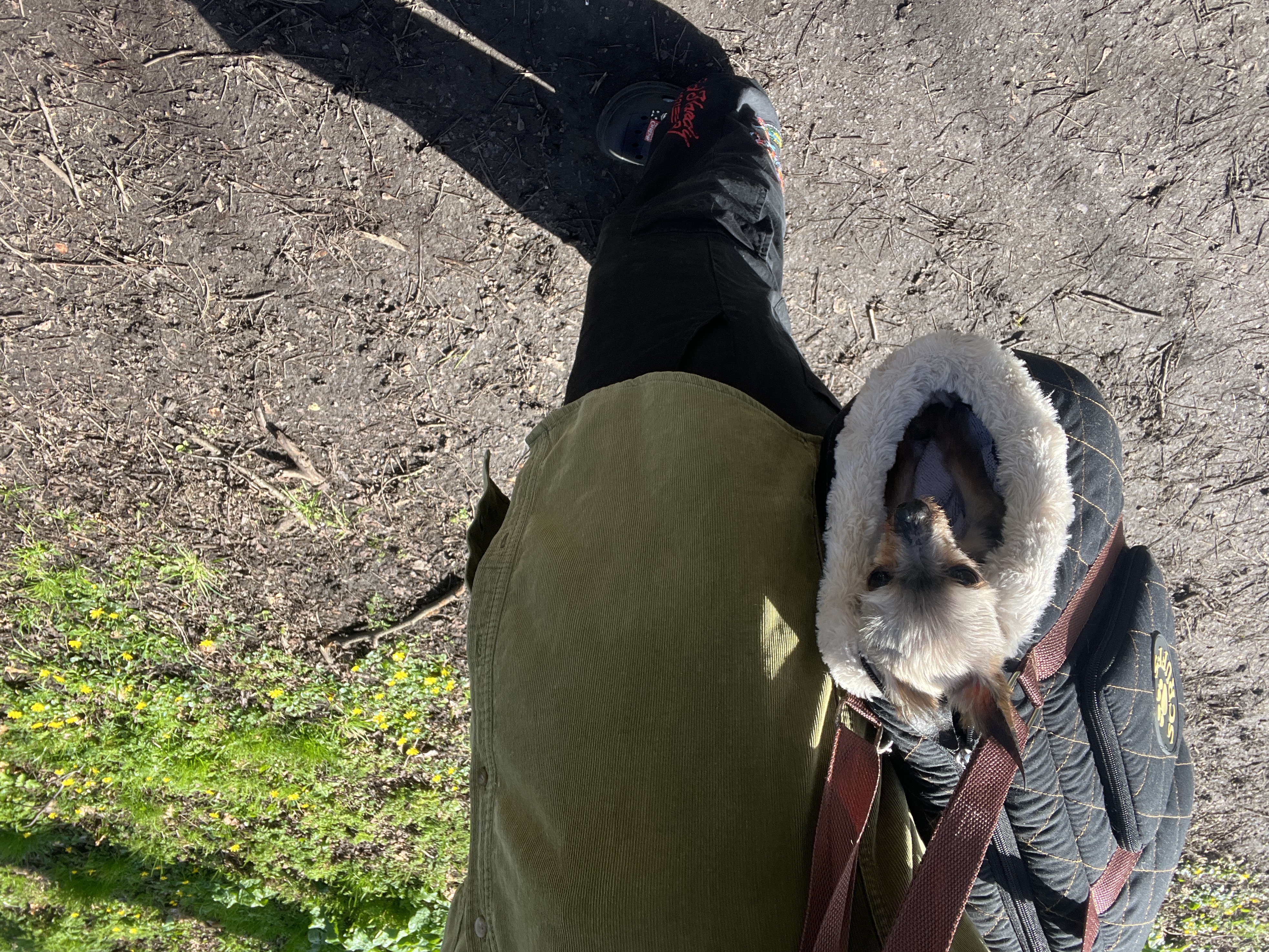 image-8