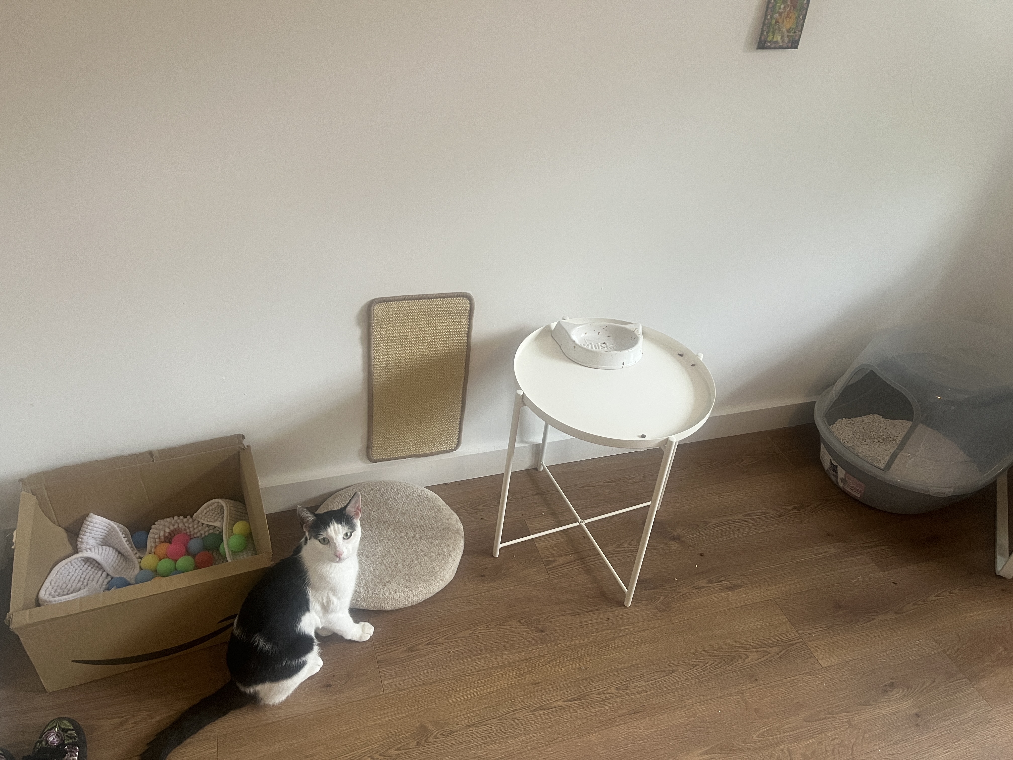 image-11